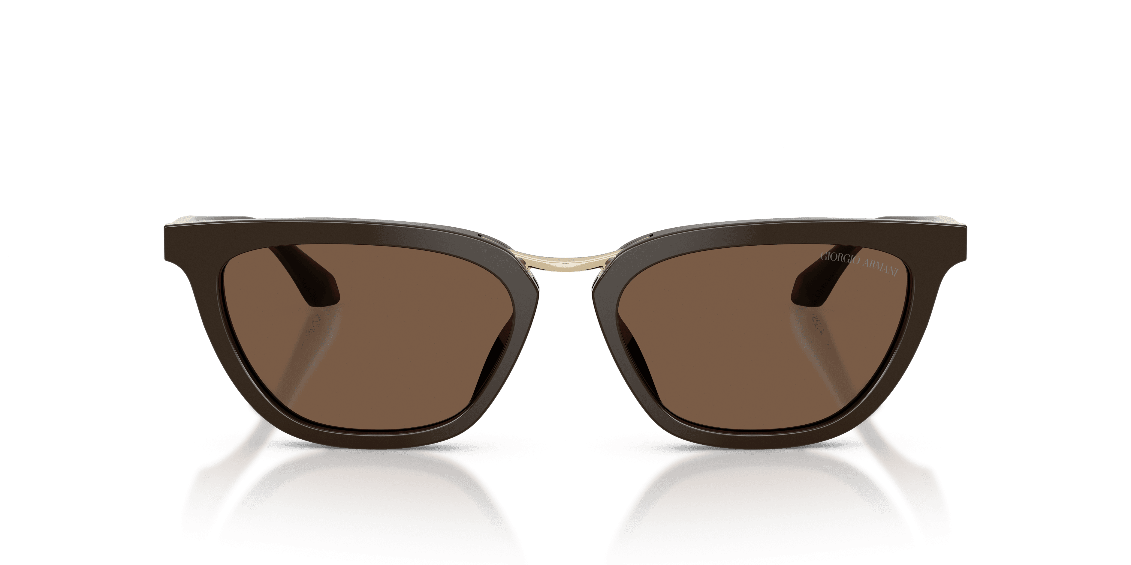 Giorgio Armani 0AR8253U Güneş Gözlüğü 4