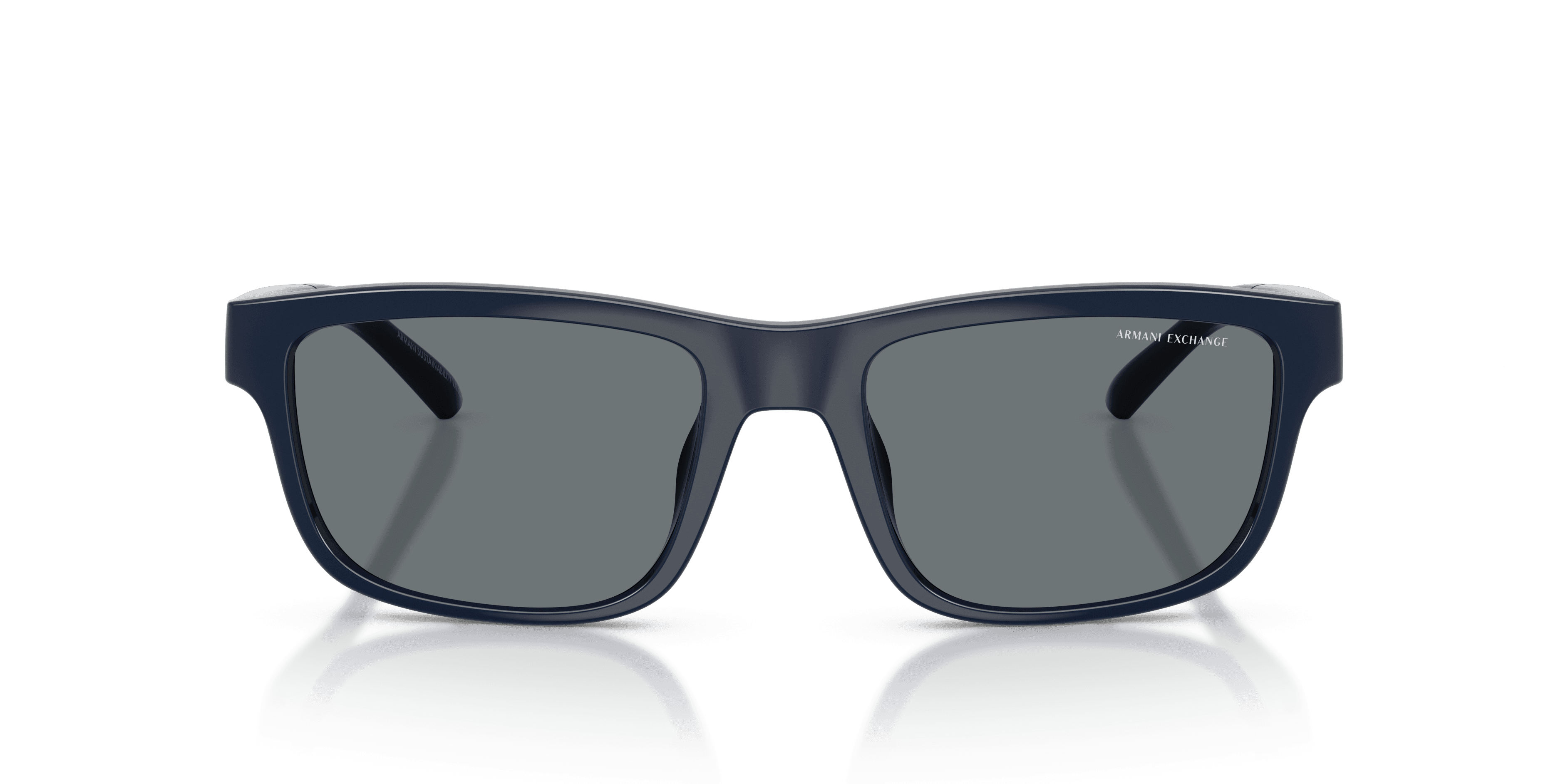 Armani Exchange 0AX4169SU Güneş Gözlüğü 4