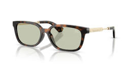 Koyu Havana