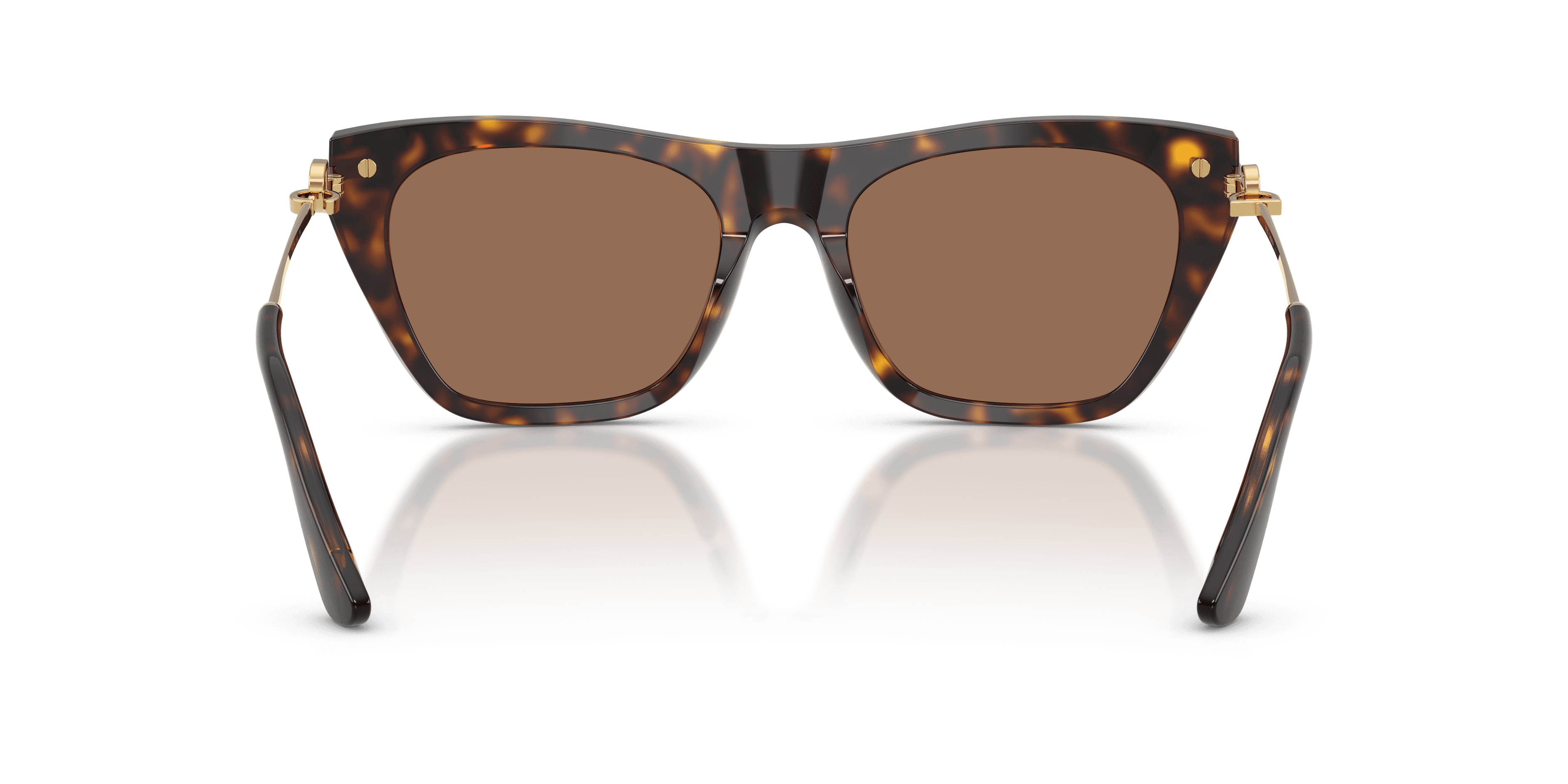 Dolce&Gabbana 0DG4511 Güneş Gözlüğü 3