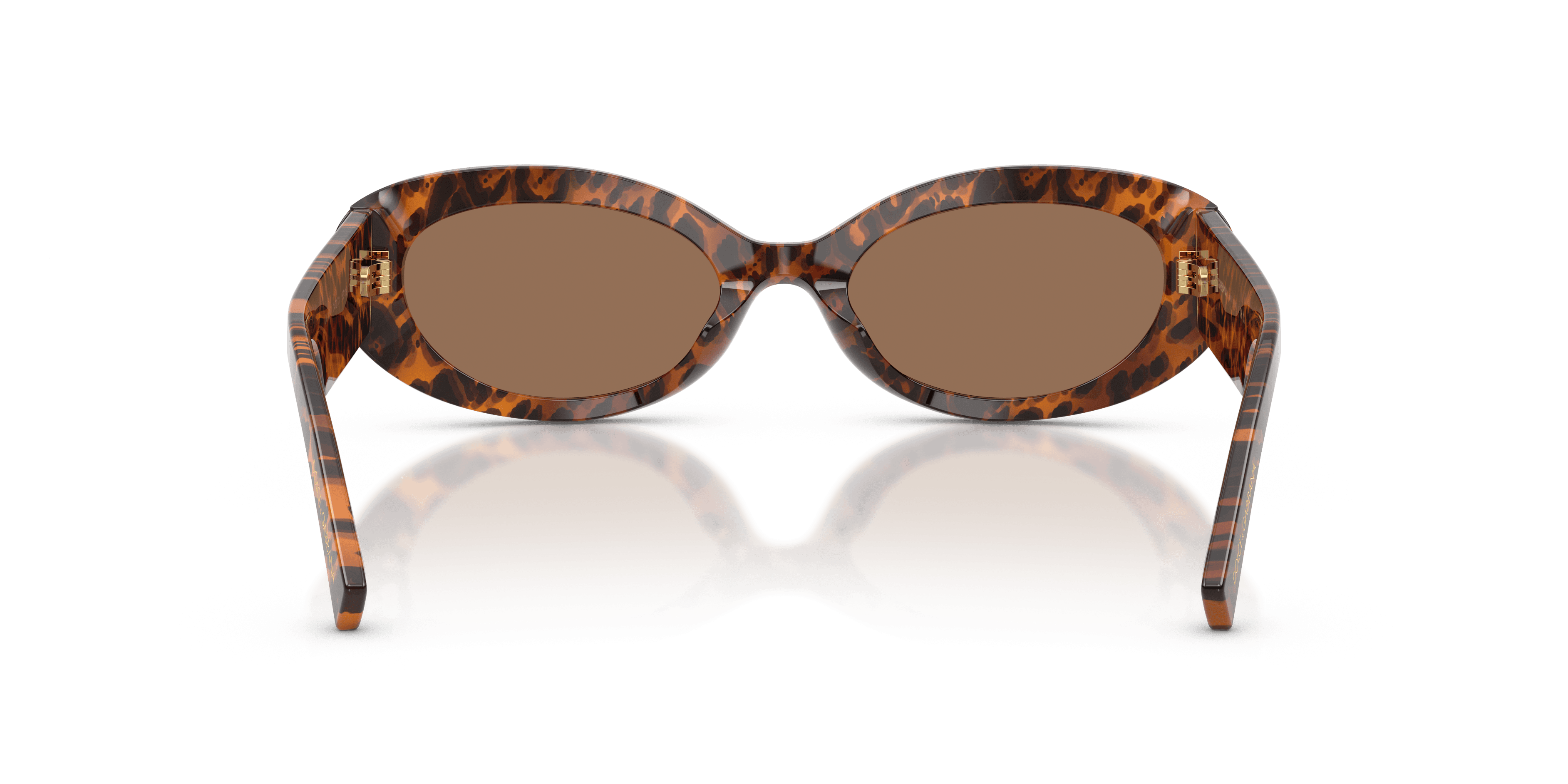 Dolce&Gabbana 0DG4537 Güneş Gözlüğü 3