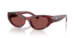 Kaplumbağa kabuğu