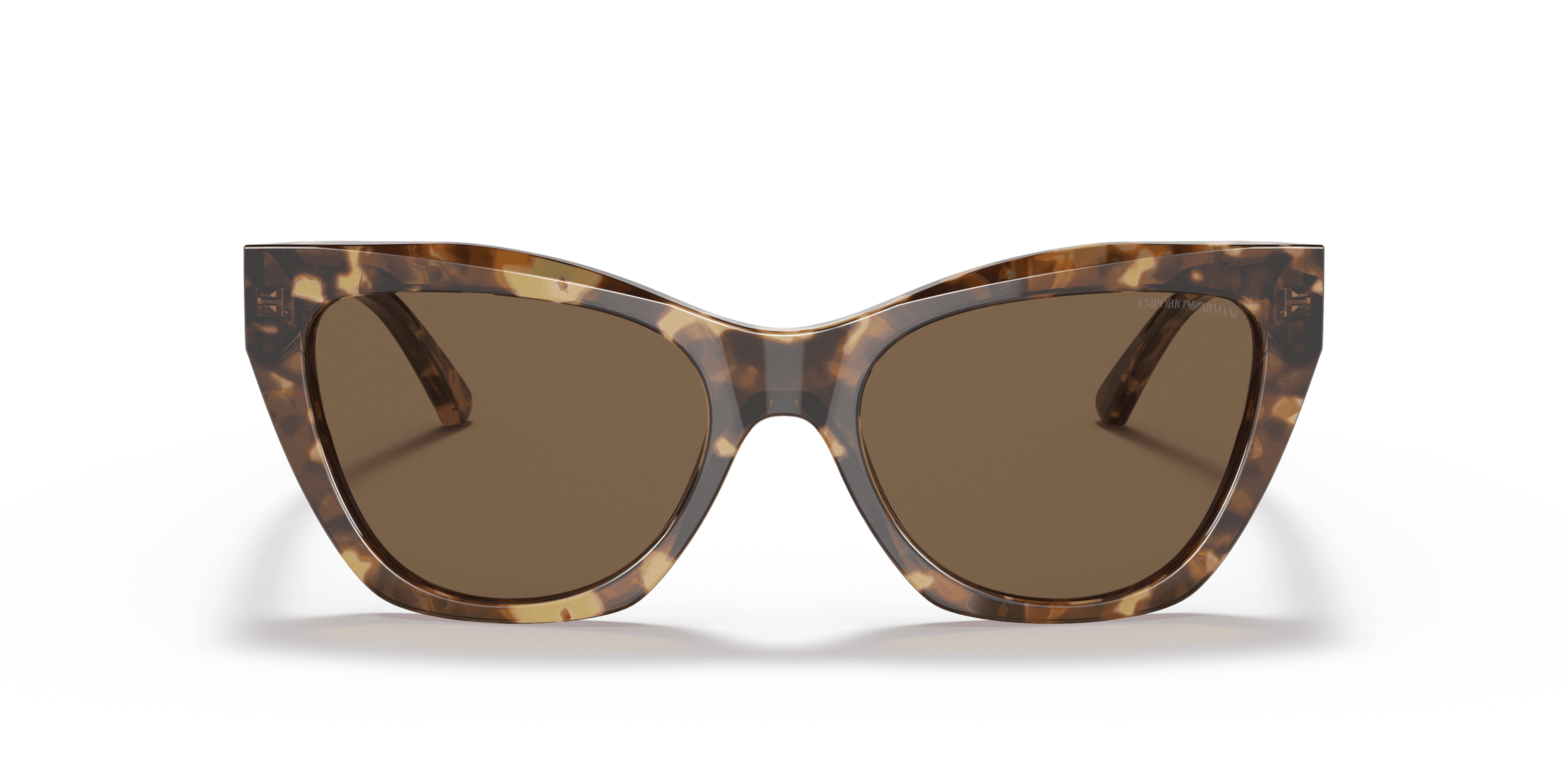 Emporio Armani 0EA4176 Güneş Gözlüğü 4