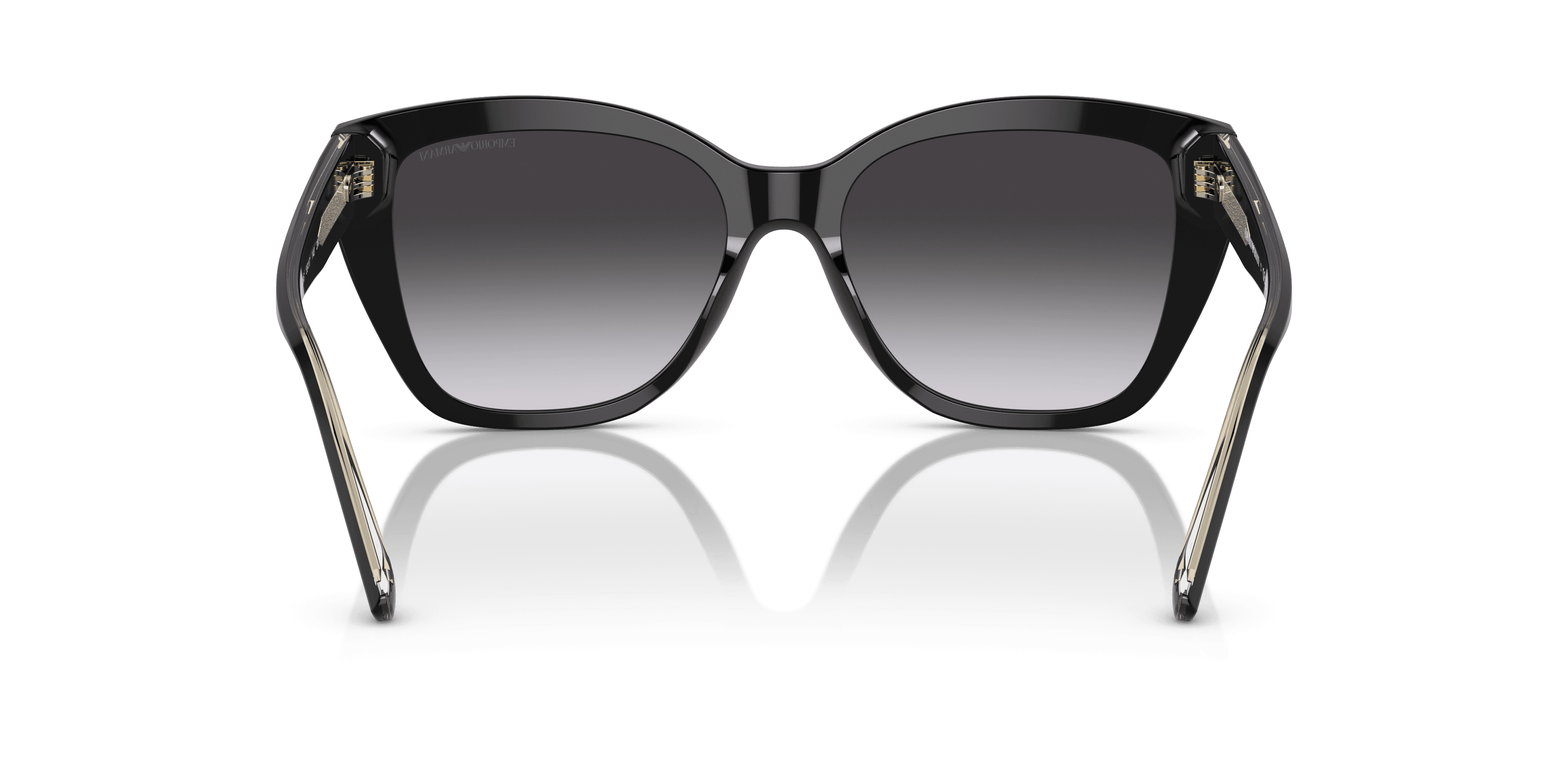 Emporio Armani 0EA4198 Güneş Gözlüğü 3