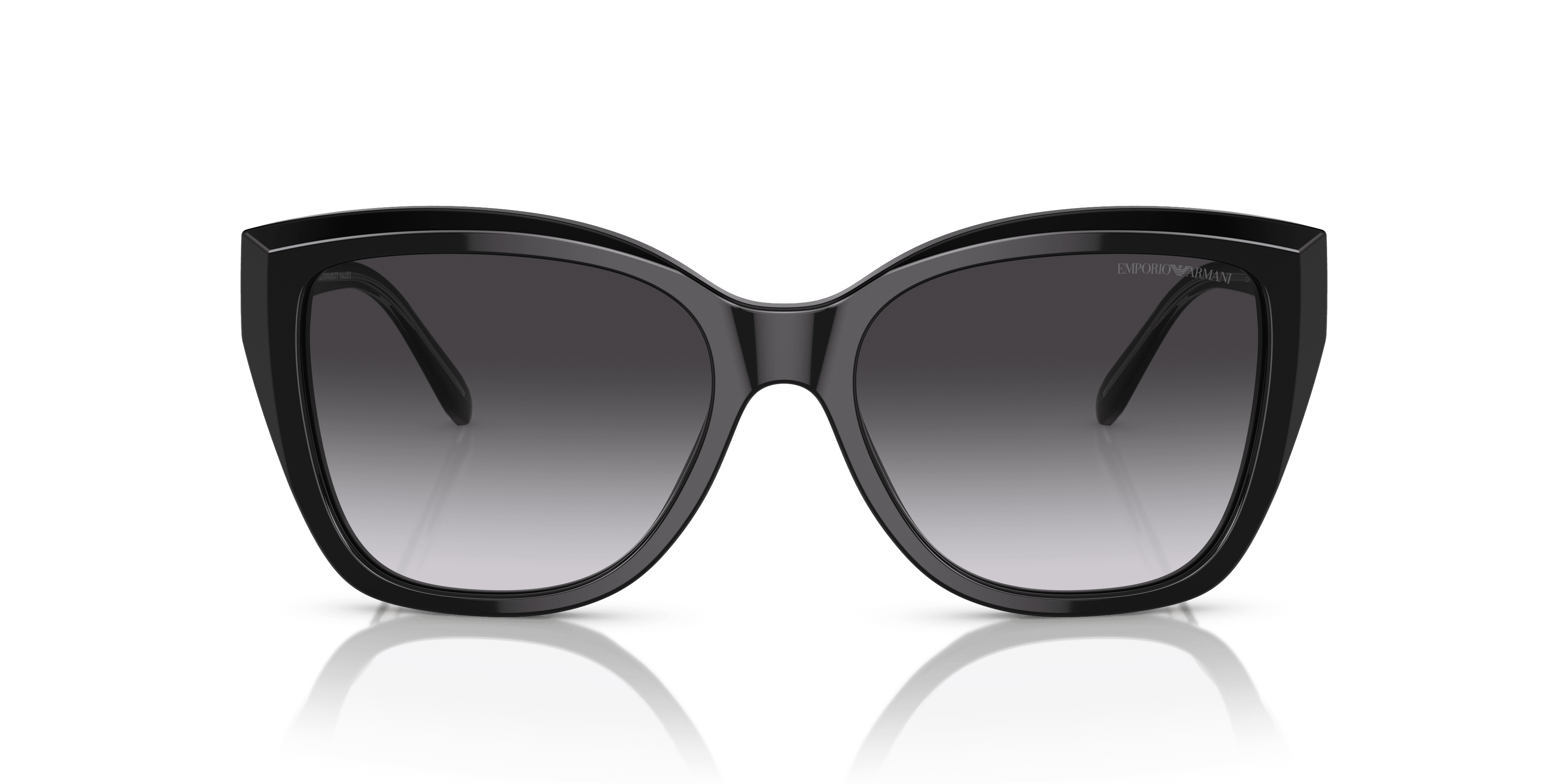 Emporio Armani 0EA4198 Güneş Gözlüğü 4