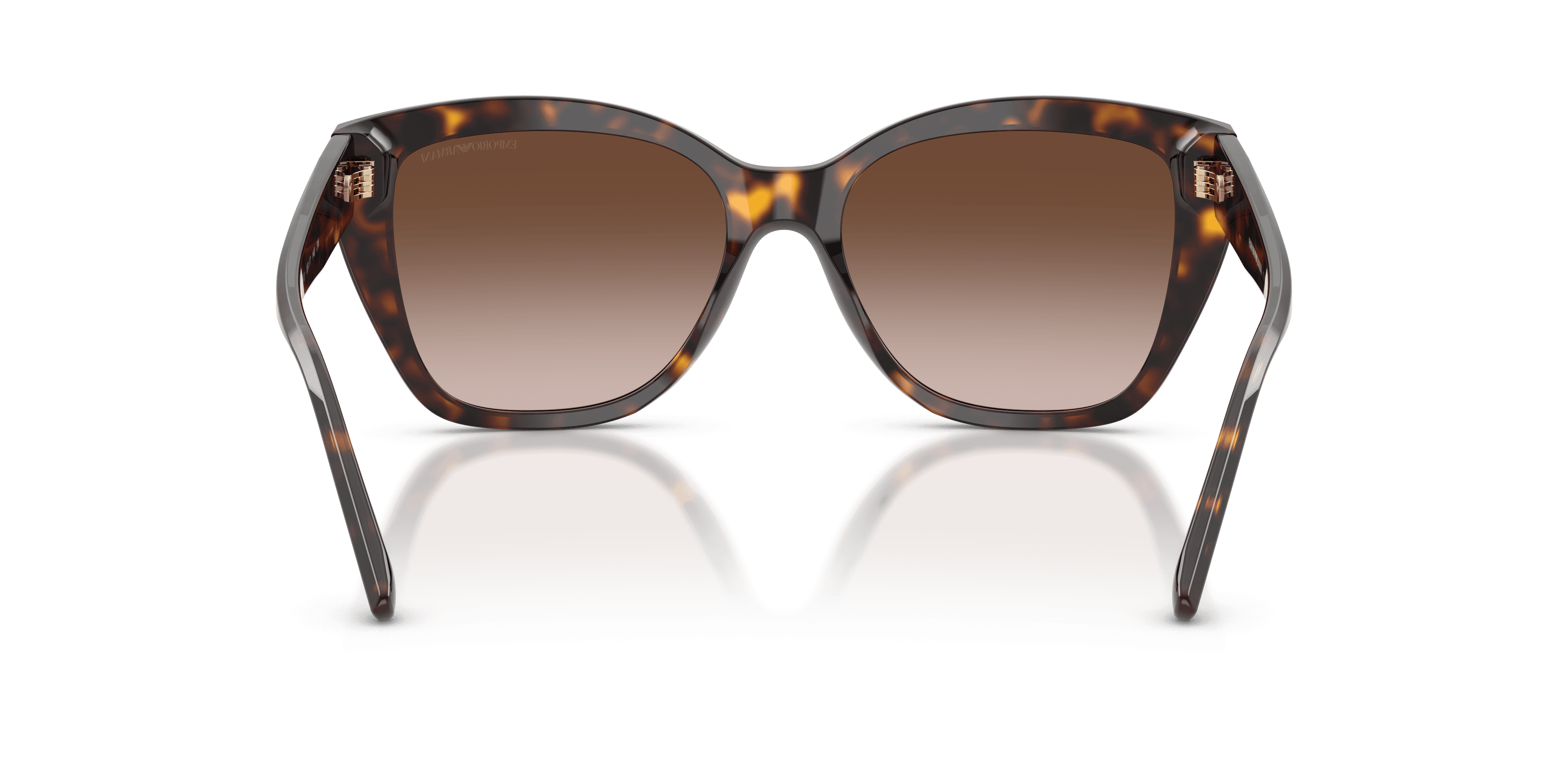 Emporio Armani 0EA4198 Güneş Gözlüğü 3