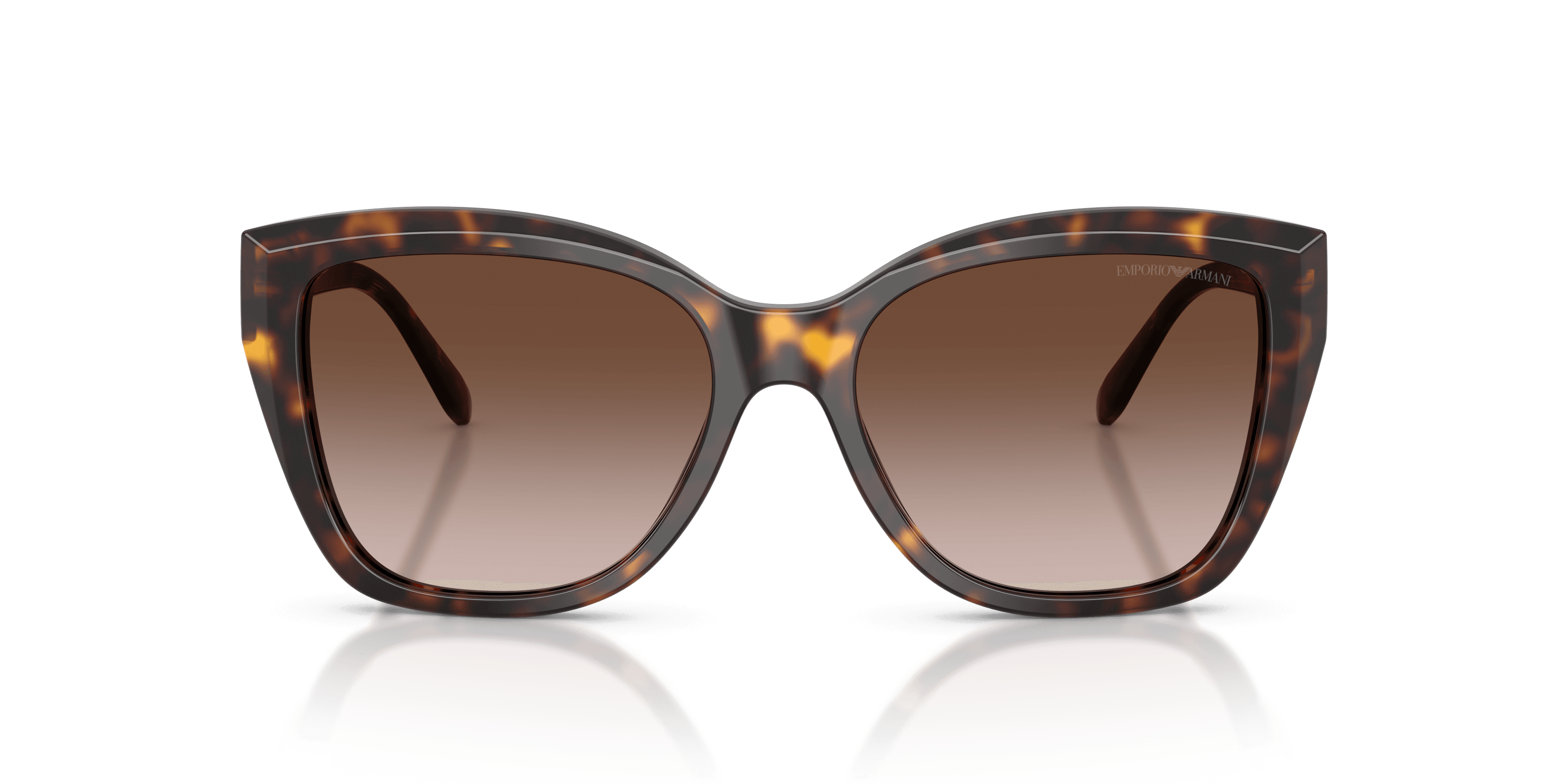 Emporio Armani 0EA4198 Güneş Gözlüğü 4