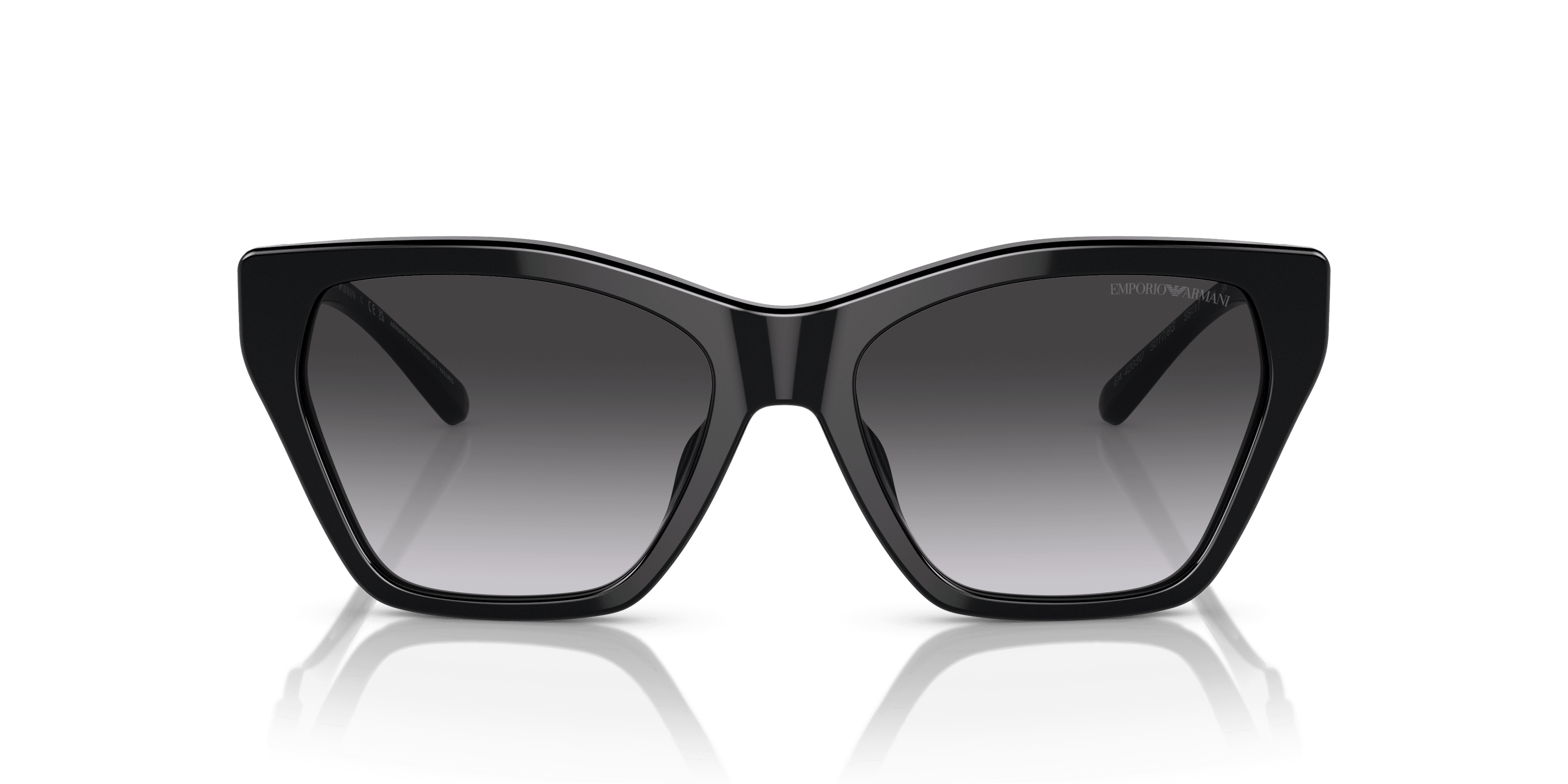 Emporio Armani 0EA4203U Güneş Gözlüğü 4