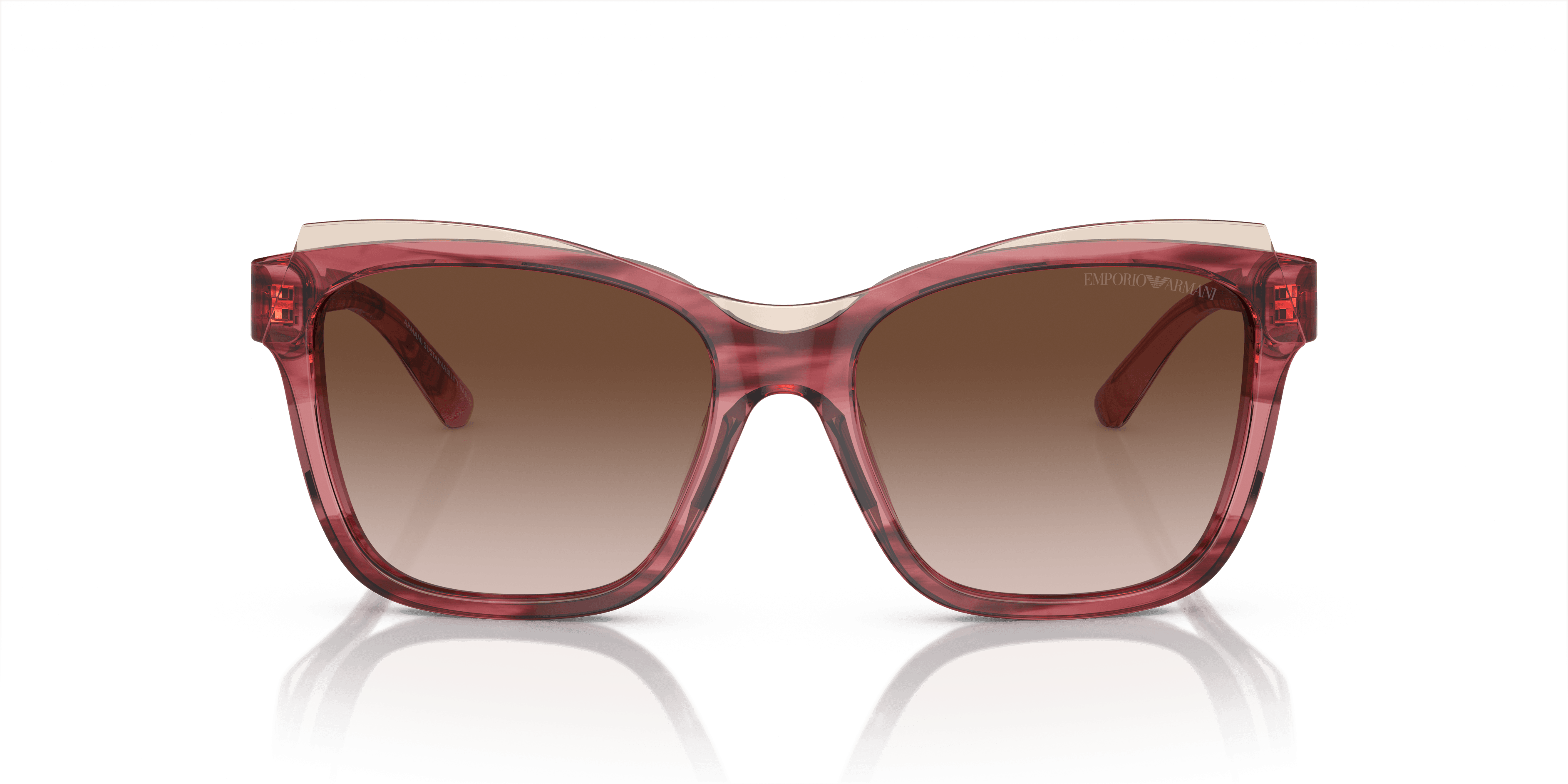 Emporio Armani 0EA4209 Güneş Gözlüğü 4