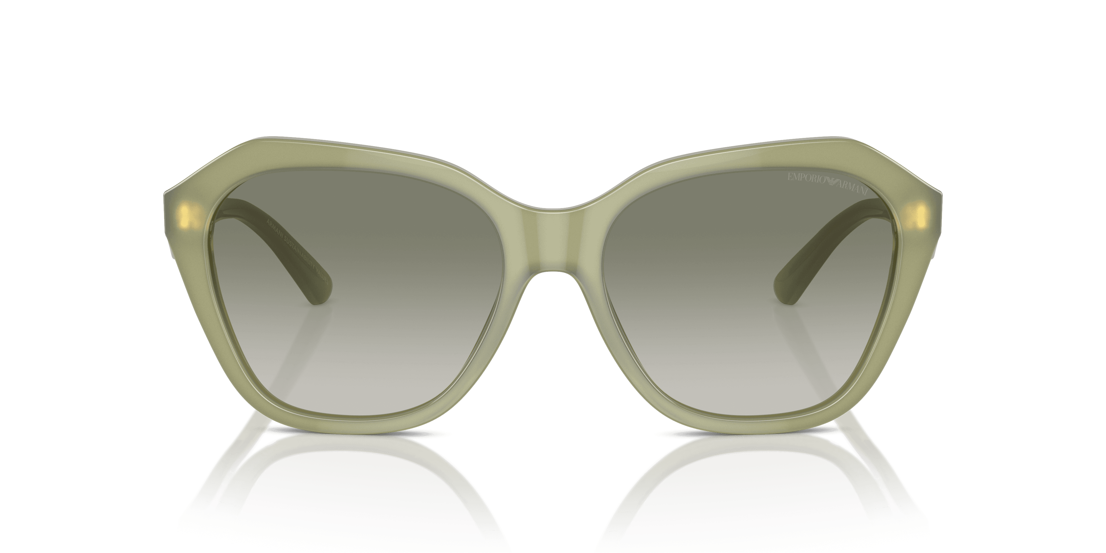 Emporio Armani 0EA4221 Güneş Gözlüğü 4