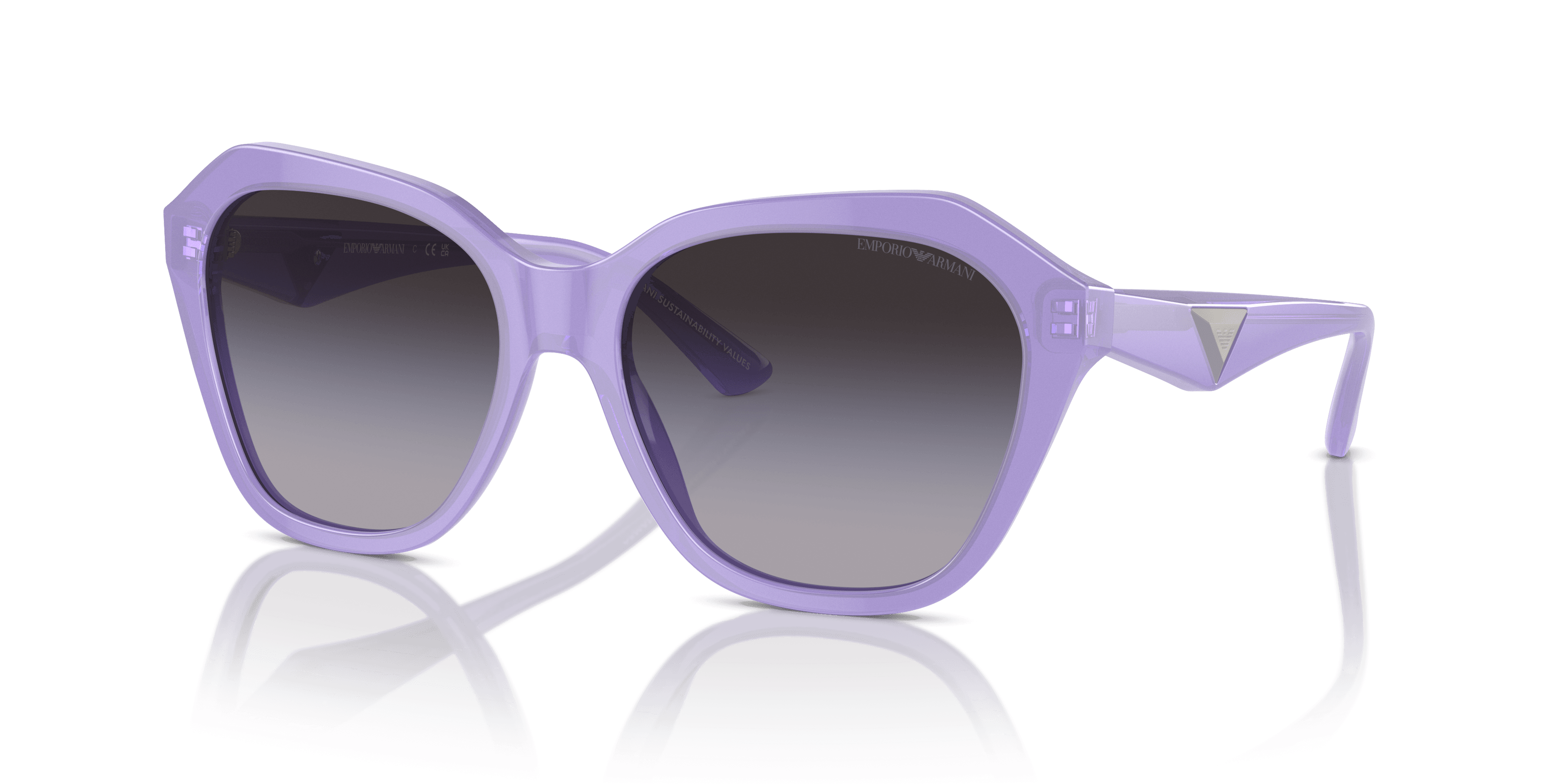 Emporio Armani 0EA4221 Güneş Gözlüğü