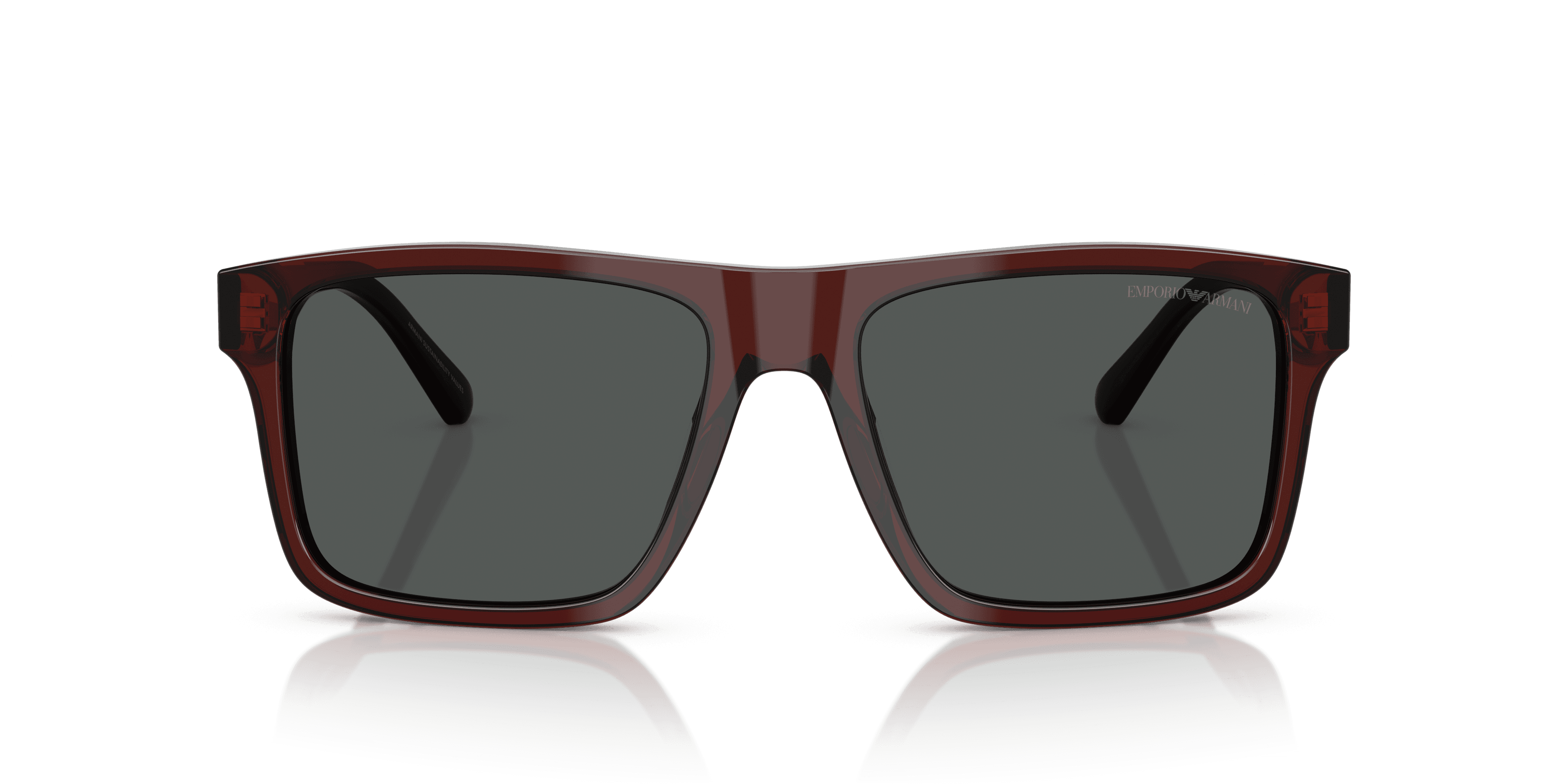 Emporio Armani 0EA4232 Güneş Gözlüğü 4
