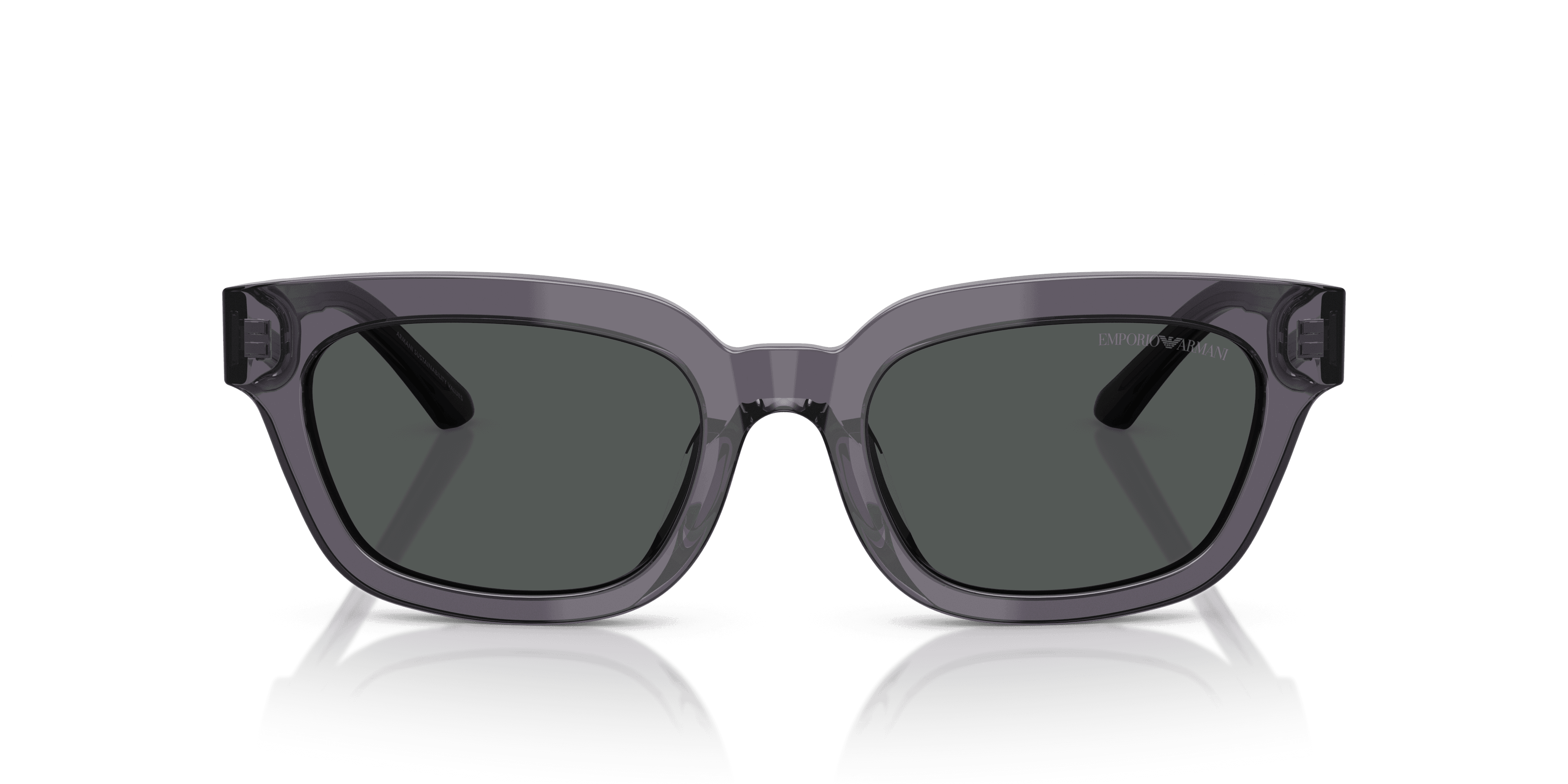 Emporio Armani 0EA4233U Güneş Gözlüğü 4
