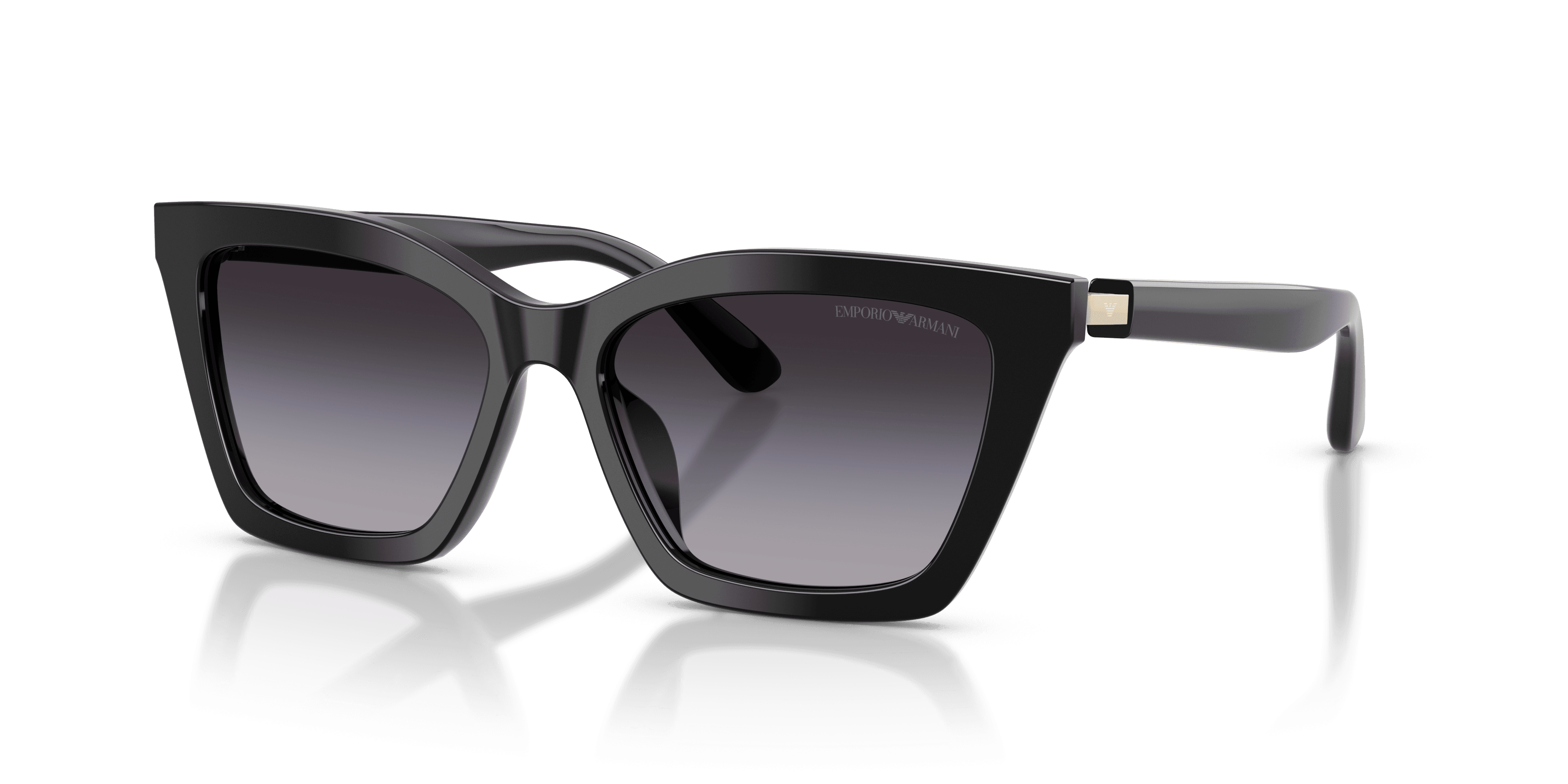 Emporio Armani 0EA4250U Güneş Gözlüğü