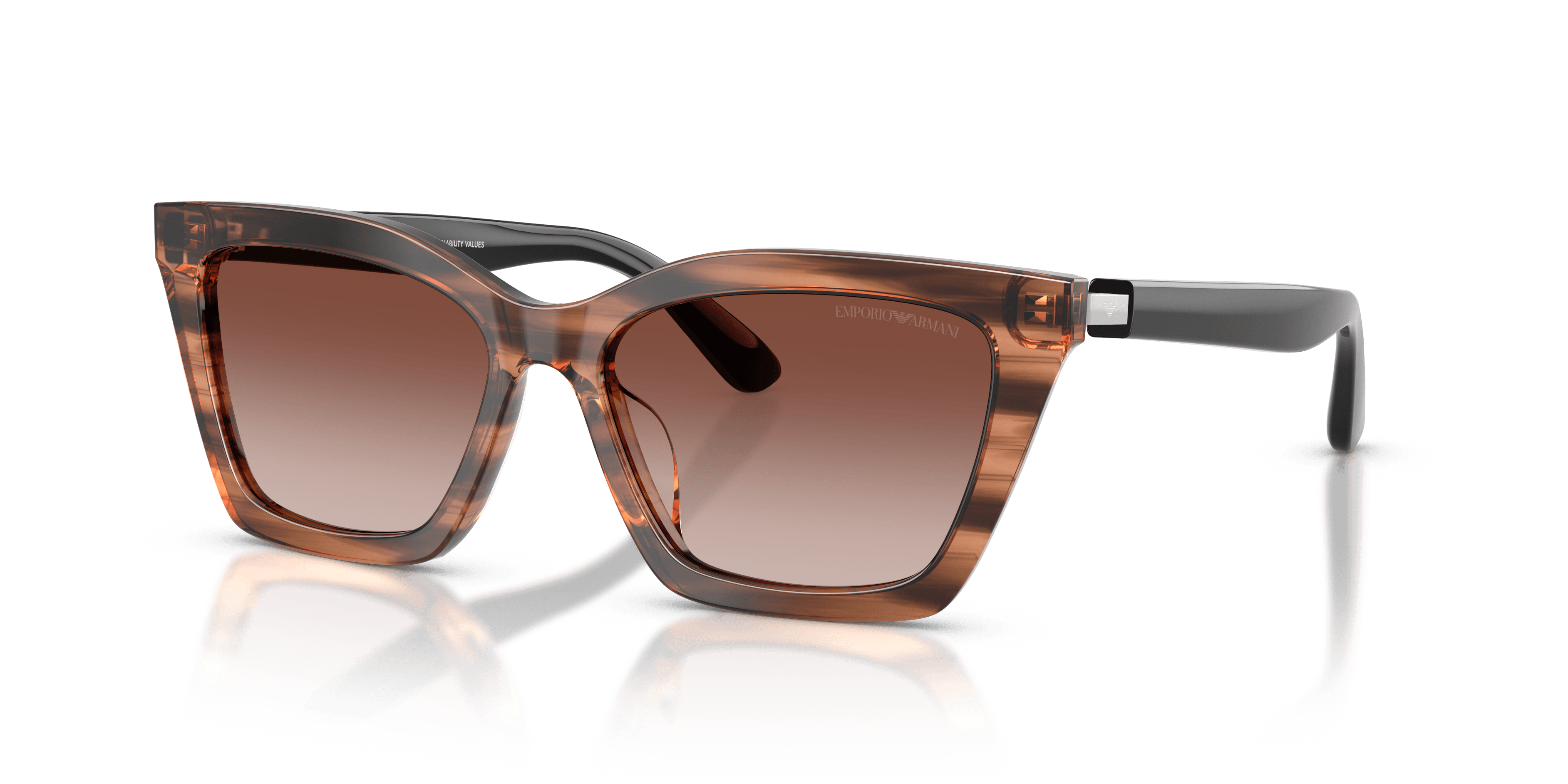 Emporio Armani 0EA4250U Güneş Gözlüğü