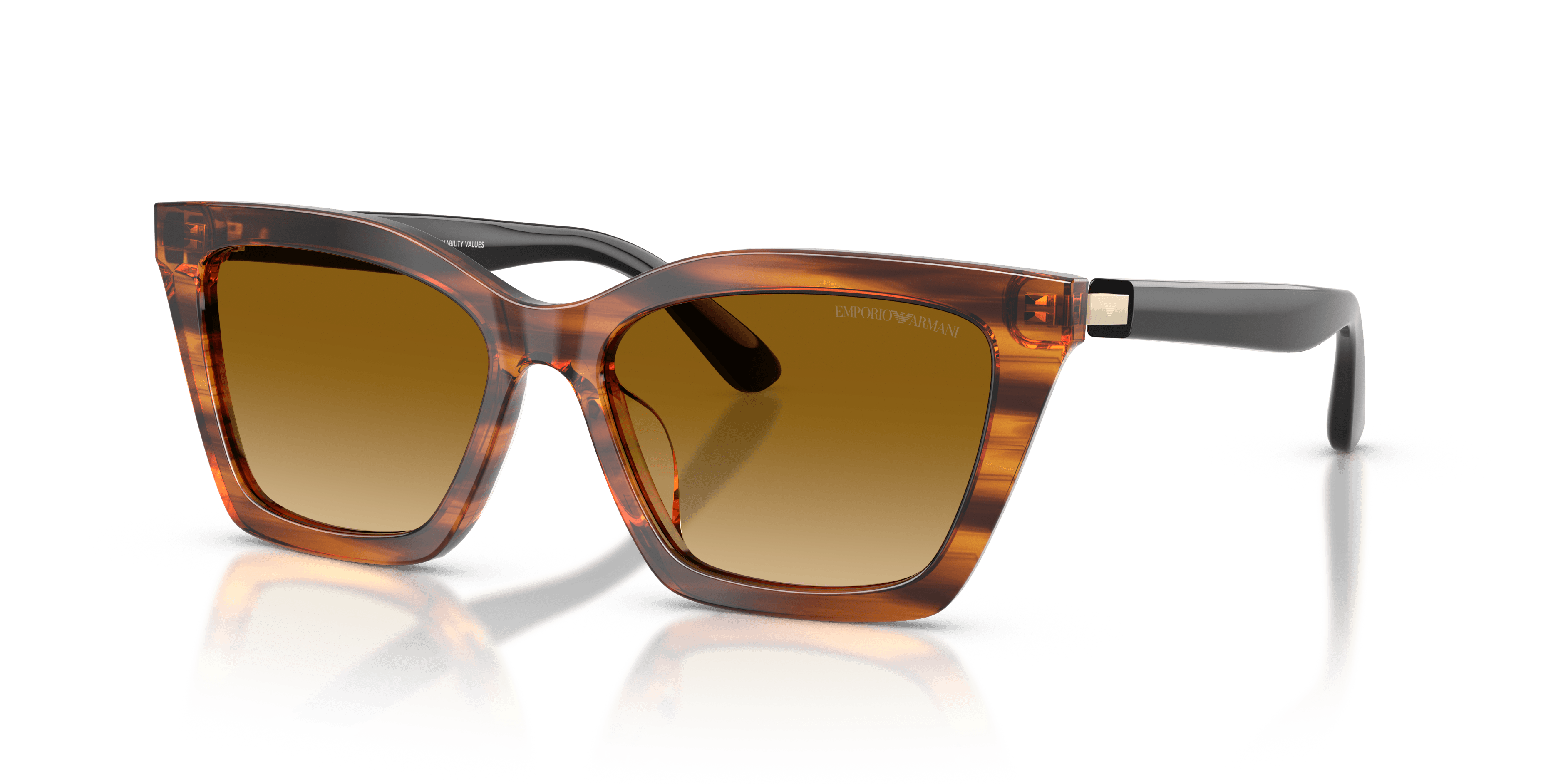 Emporio Armani 0EA4250U Güneş Gözlüğü