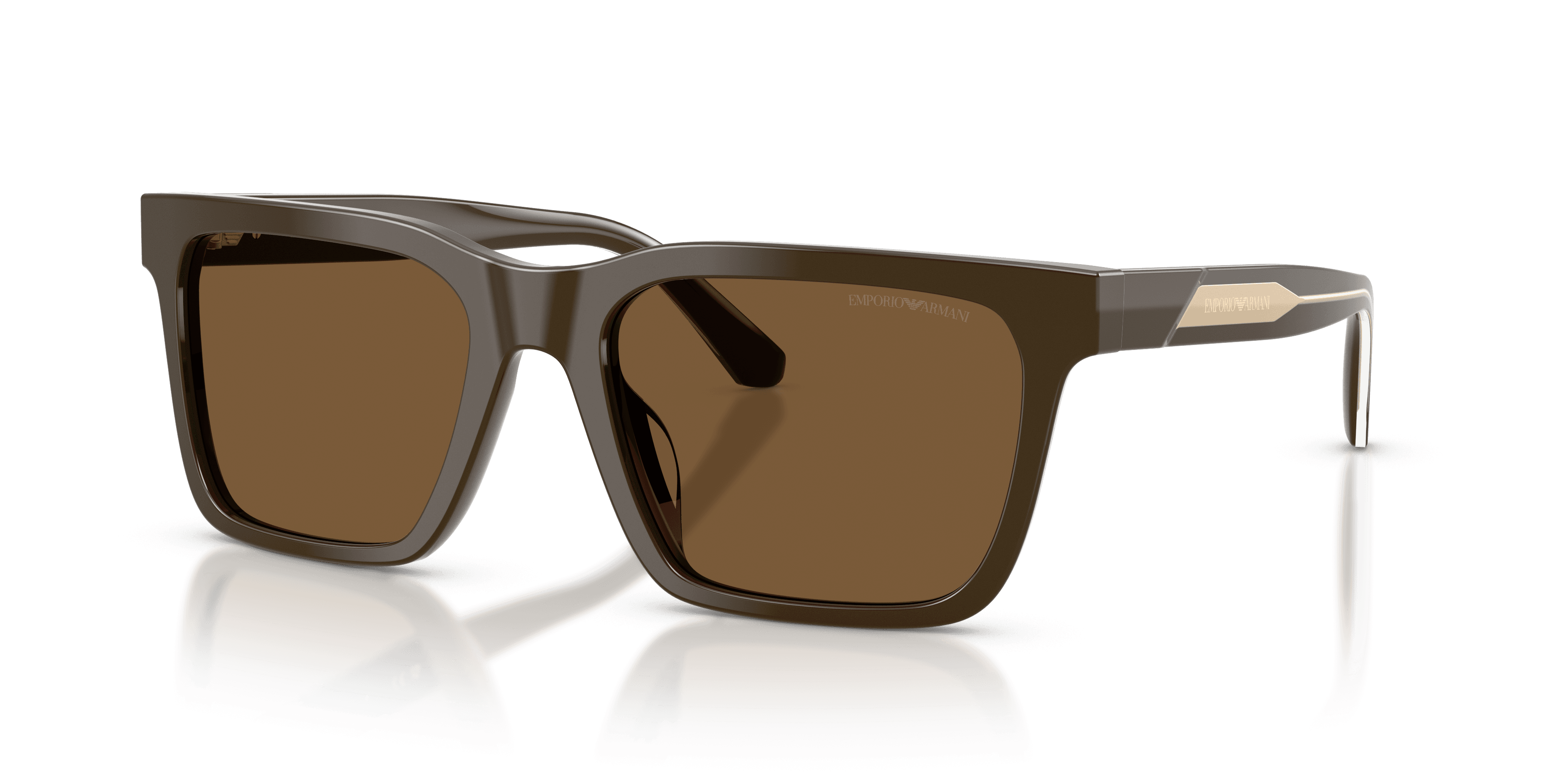 Emporio Armani 0EA4262U Güneş Gözlüğü