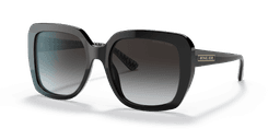 Michael Kors 0MK2140 Güneş Gözlüğü