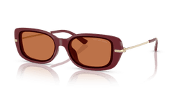 Michael Kors 0MK2228D Güneş Gözlüğü
