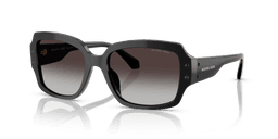 Michael Kors 0MK2233B Güneş Gözlüğü