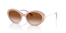 Michael Kors 0MK2245U Güneş Gözlüğü