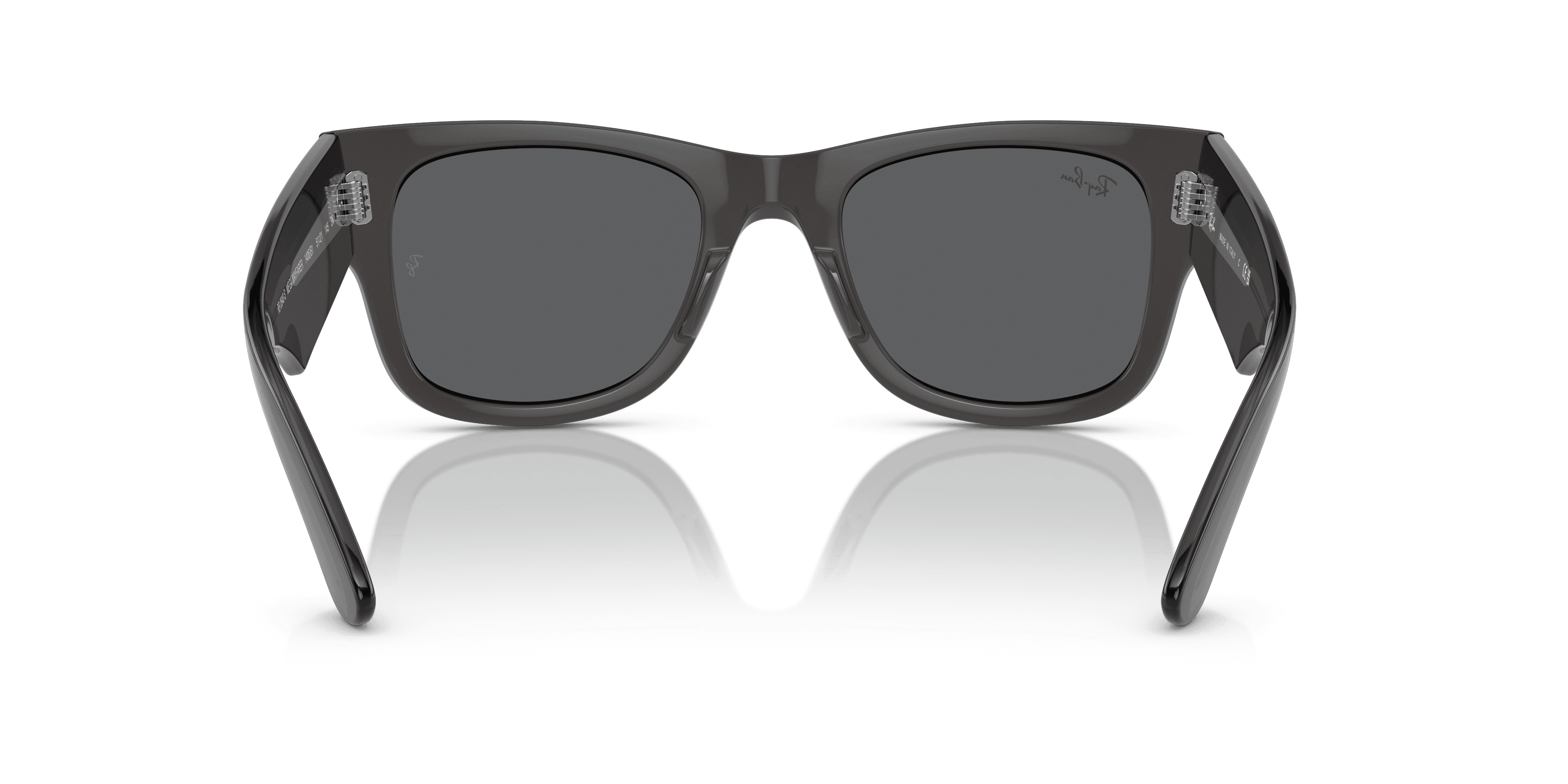 Ray-Ban 0RB0840S Güneş Gözlüğü 3