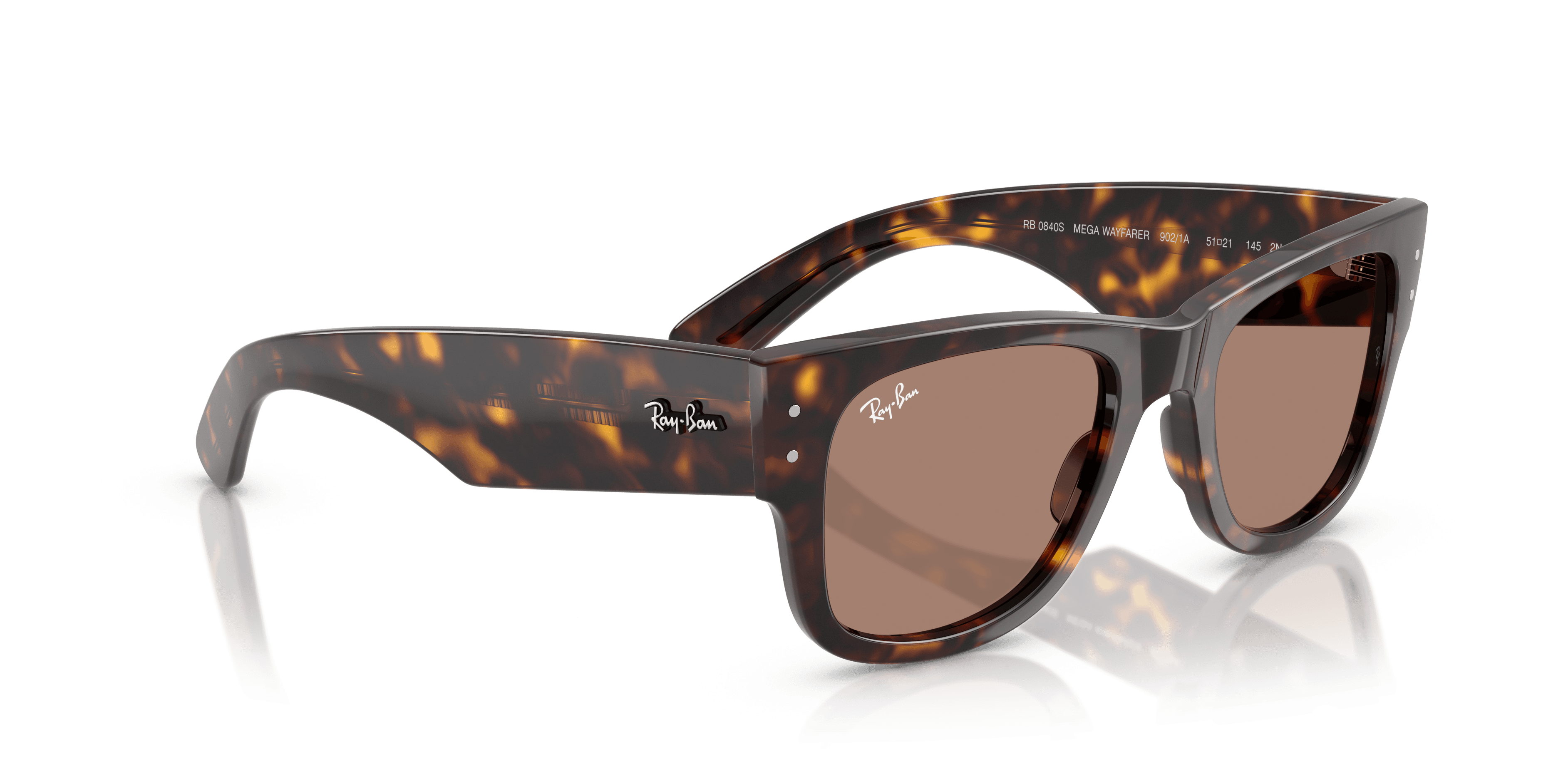 Ray-Ban 0RB0840S Güneş Gözlüğü 4