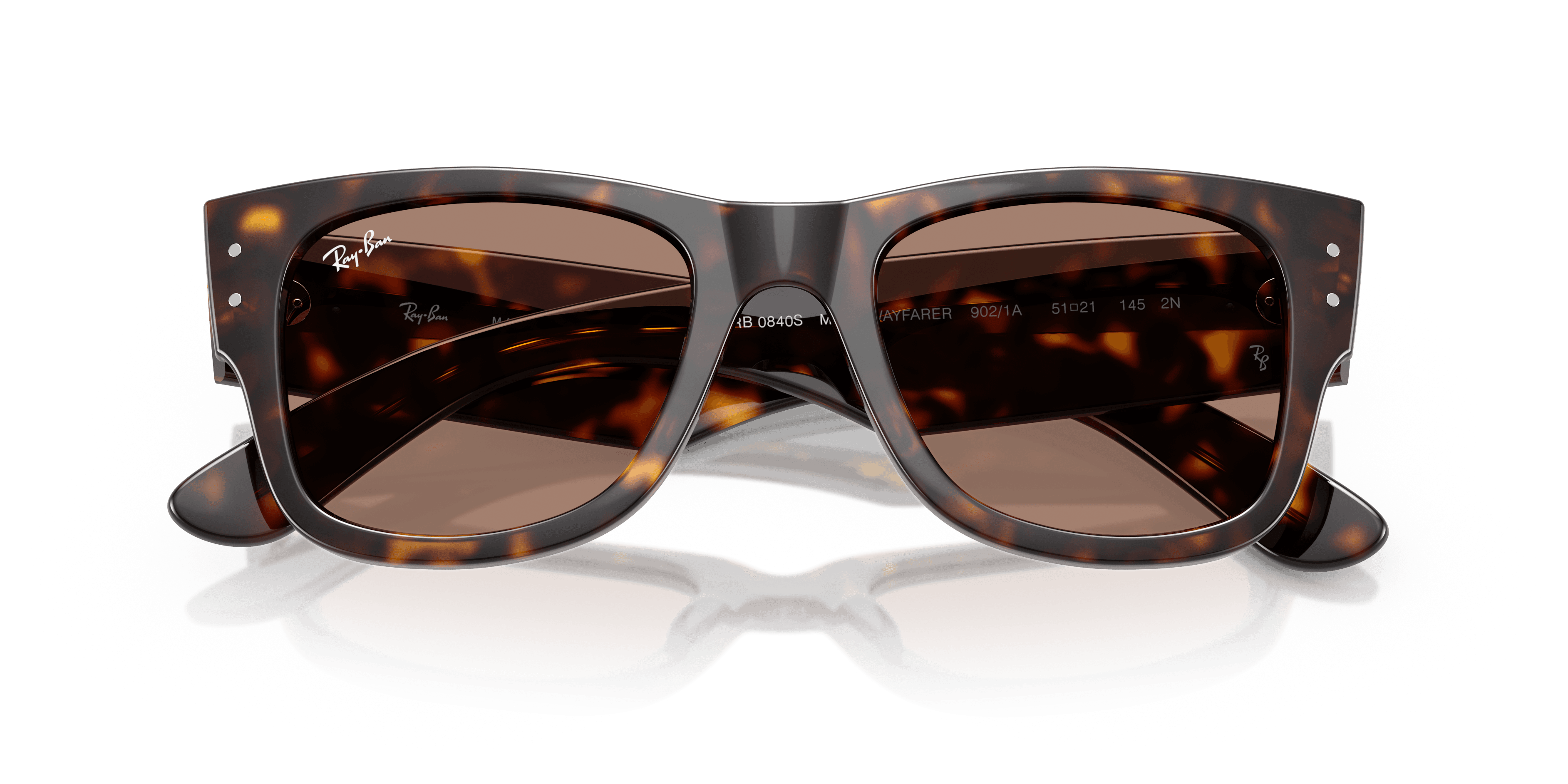 Ray-Ban 0RB0840S Güneş Gözlüğü 6