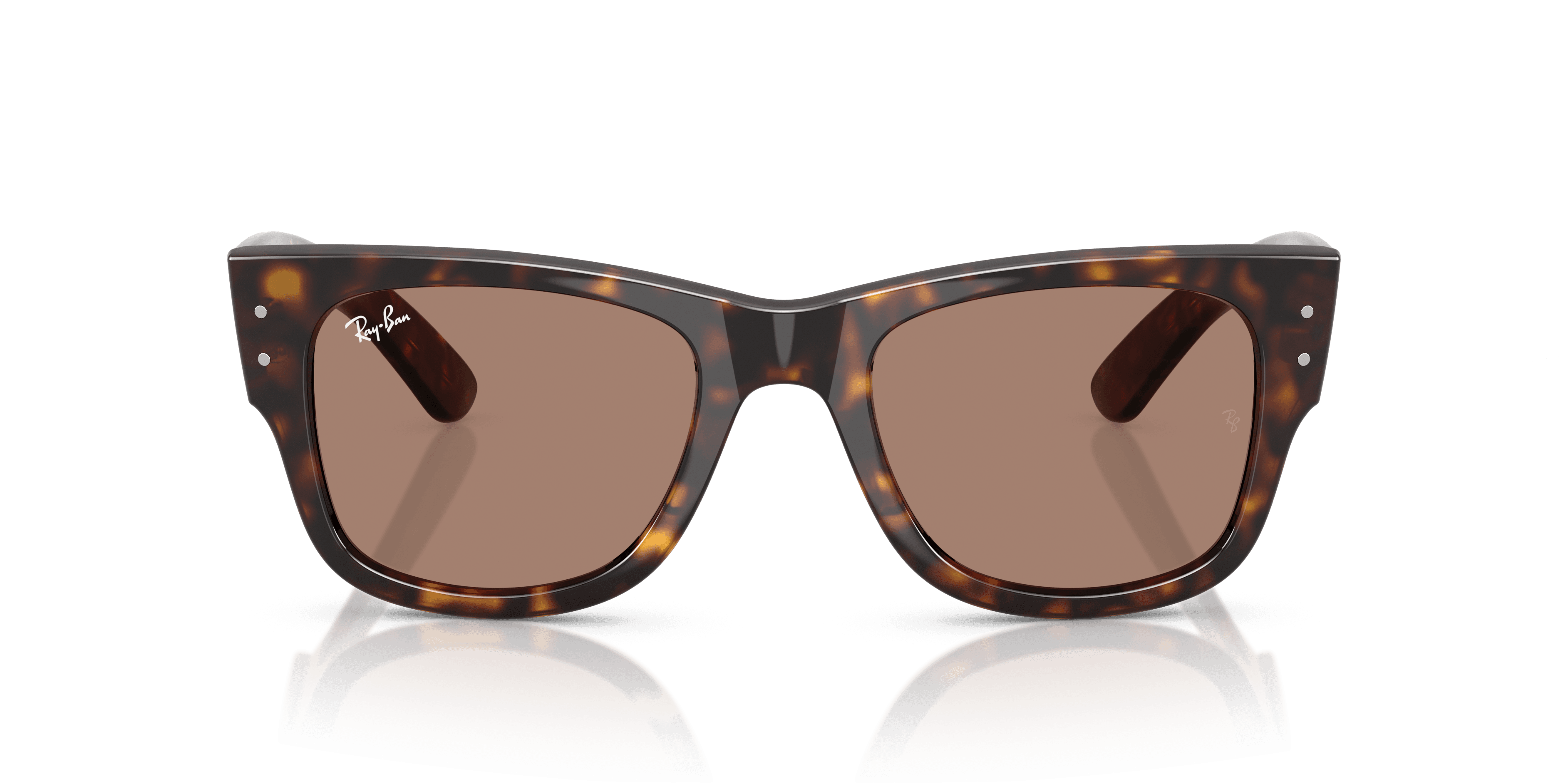 Ray-Ban 0RB0840S Güneş Gözlüğü 5