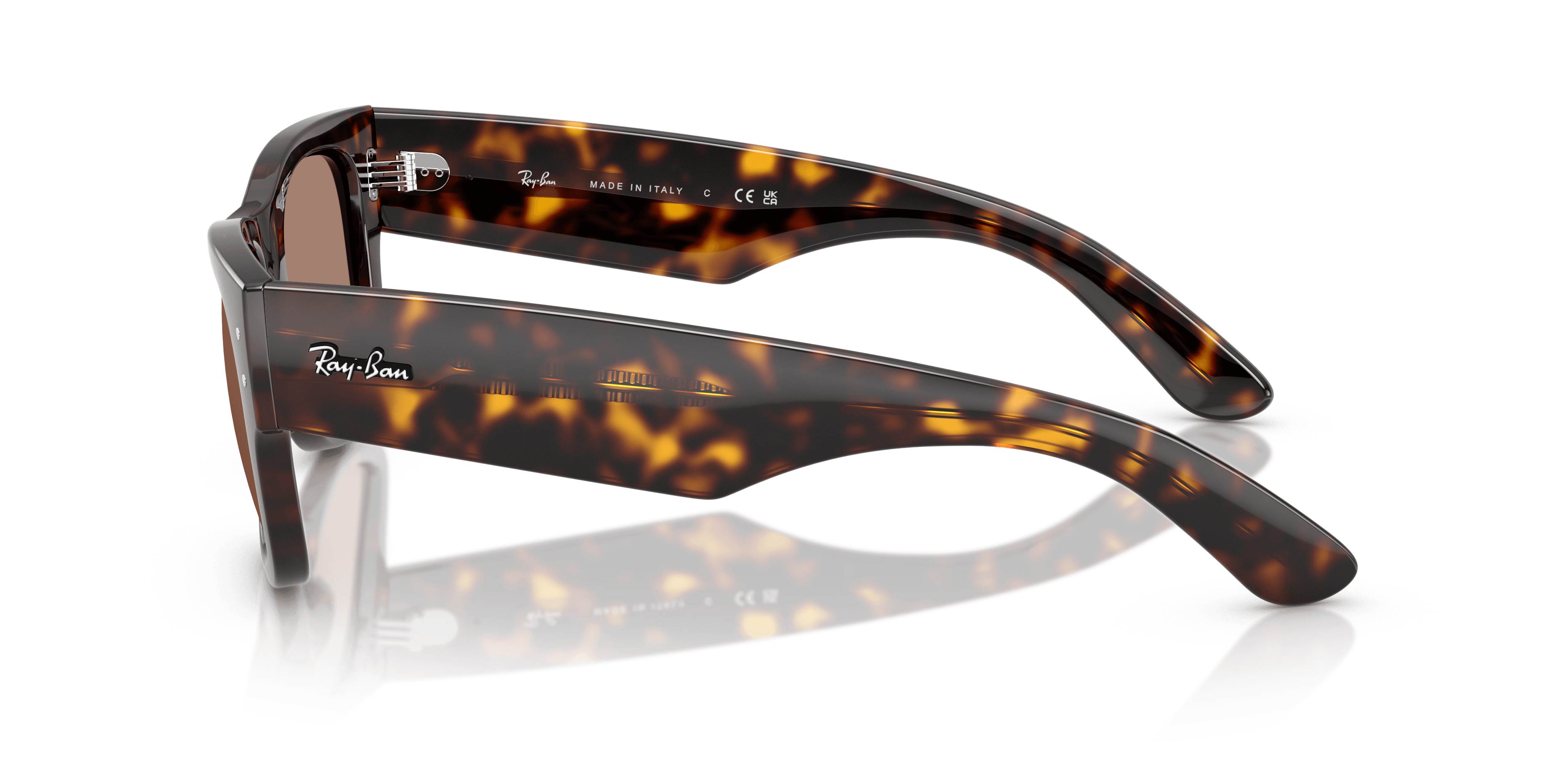 Ray-Ban 0RB0840S Güneş Gözlüğü 2