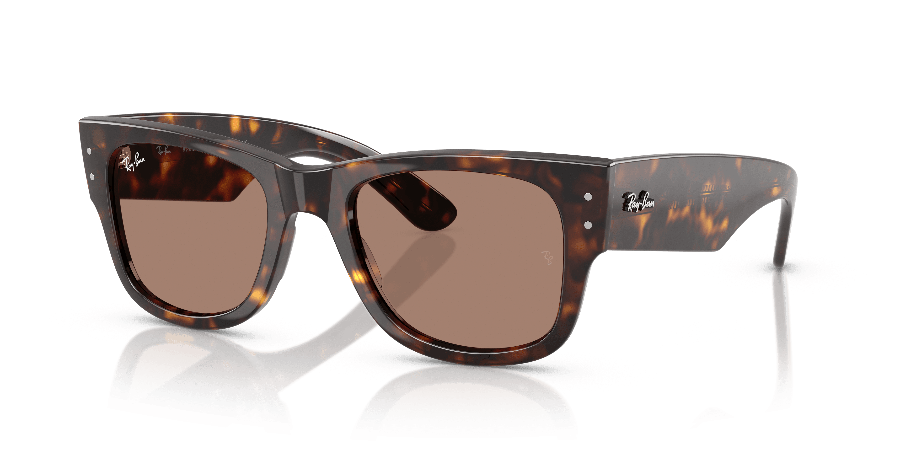 Ray-Ban 0RB0840S Güneş Gözlüğü