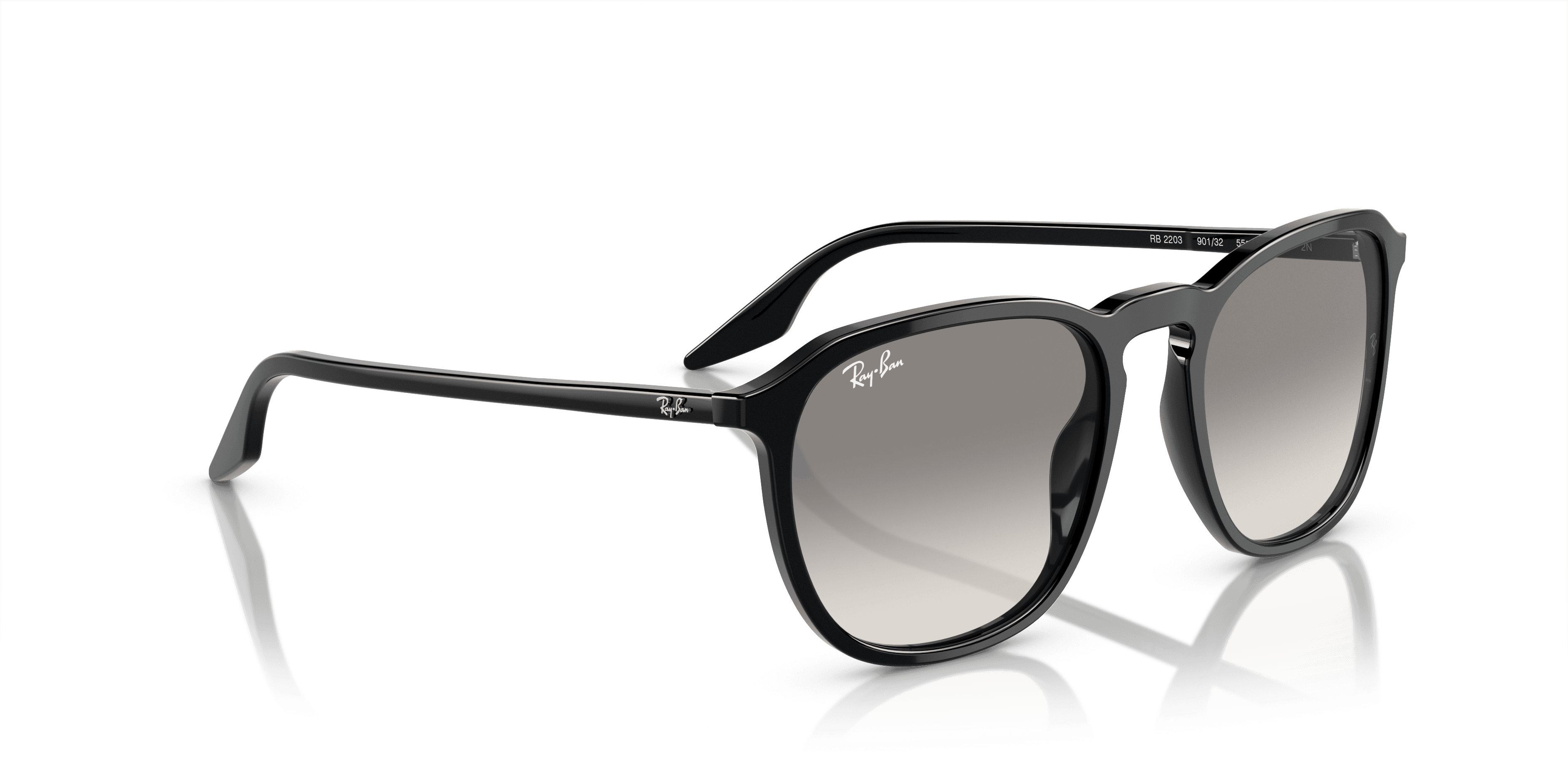 Ray-Ban 0RB2203 Güneş Gözlüğü 4