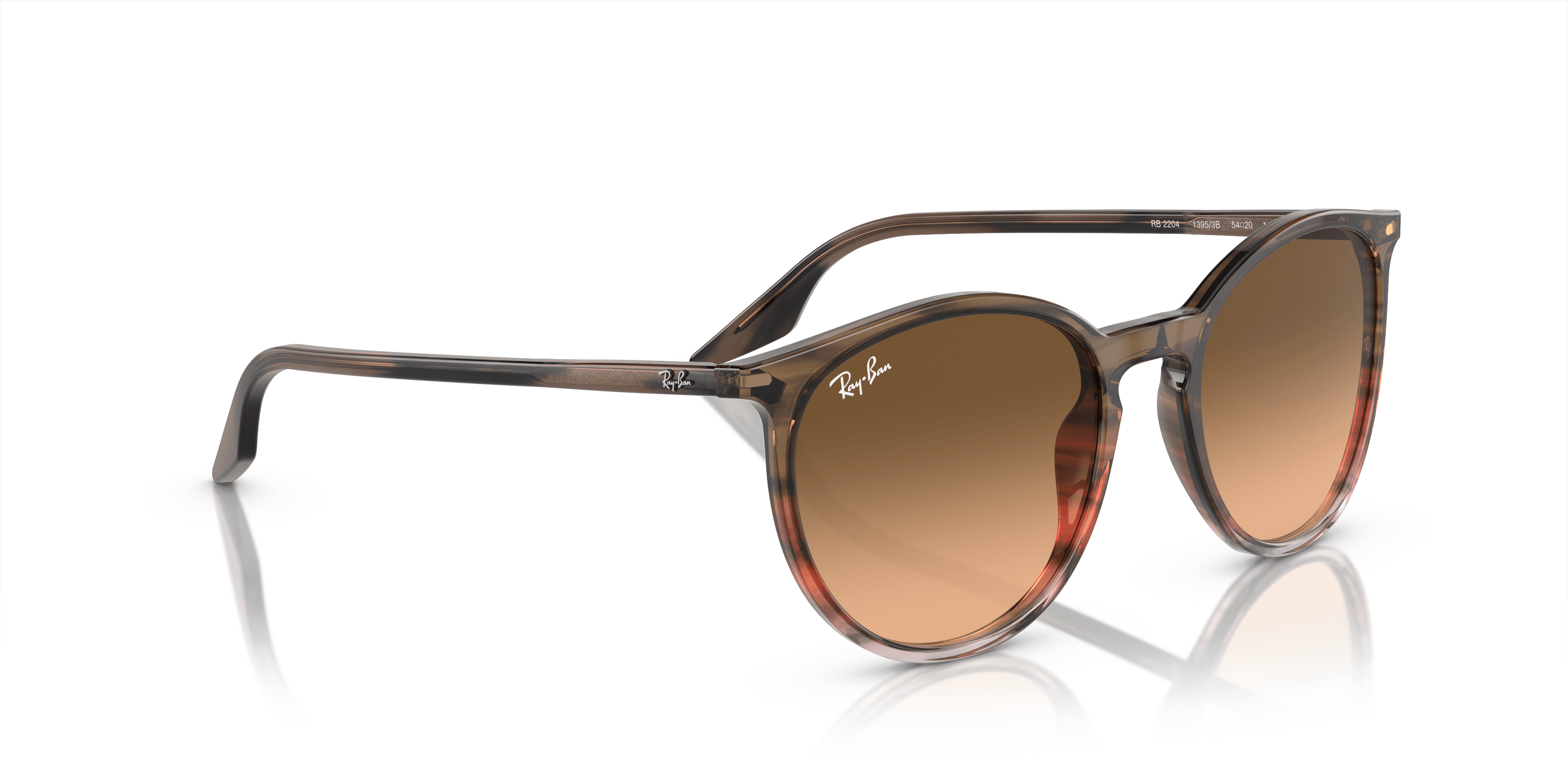 Ray-Ban 0RB2204 Güneş Gözlüğü 4