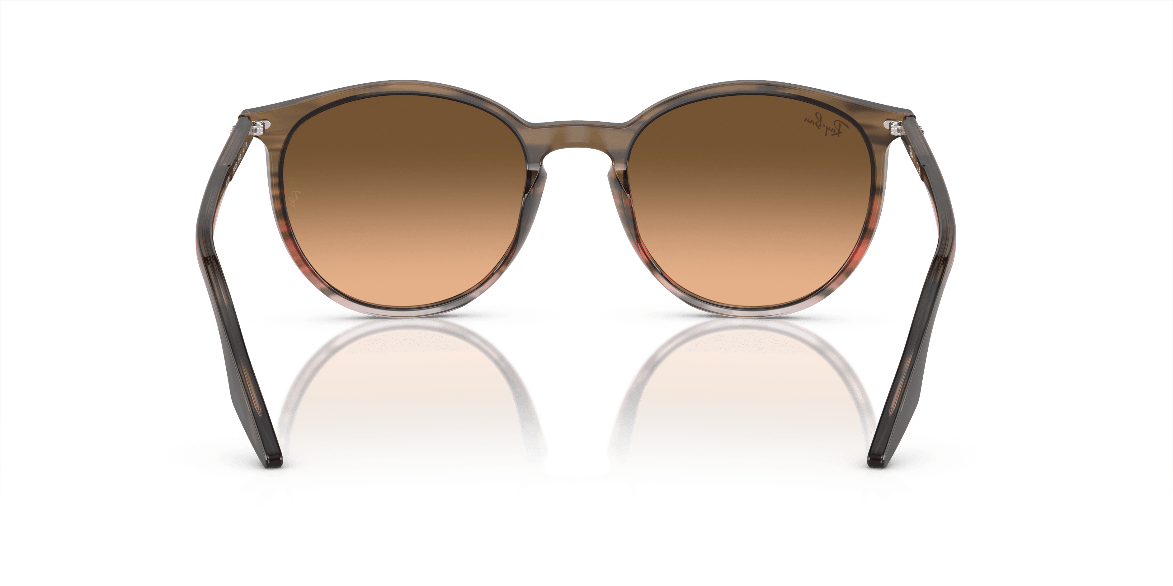 Ray-Ban 0RB2204 Güneş Gözlüğü 3