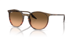 Ray-Ban 0RB2204 Güneş Gözlüğü