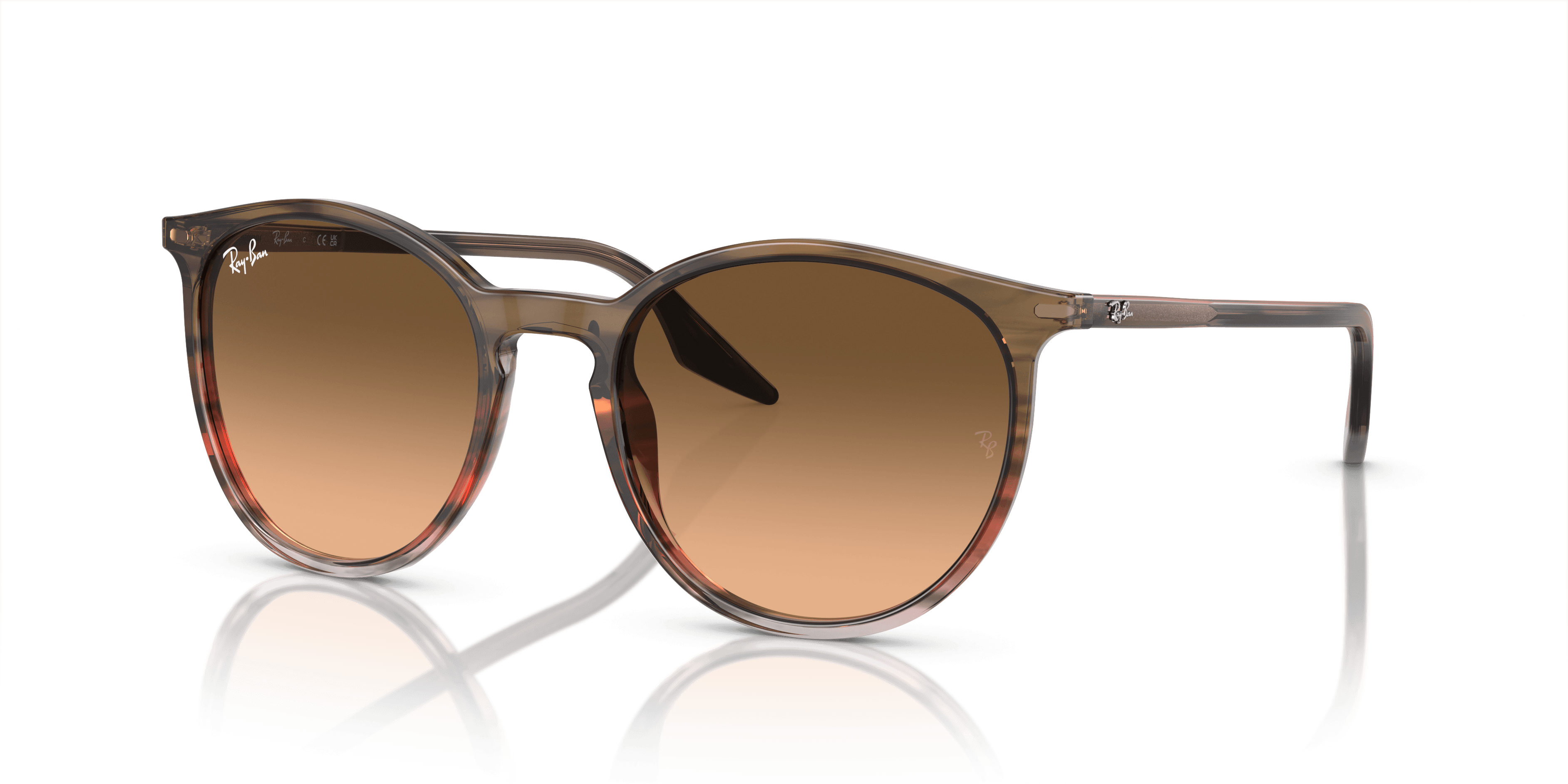 Ray-Ban 0RB2204 Güneş Gözlüğü