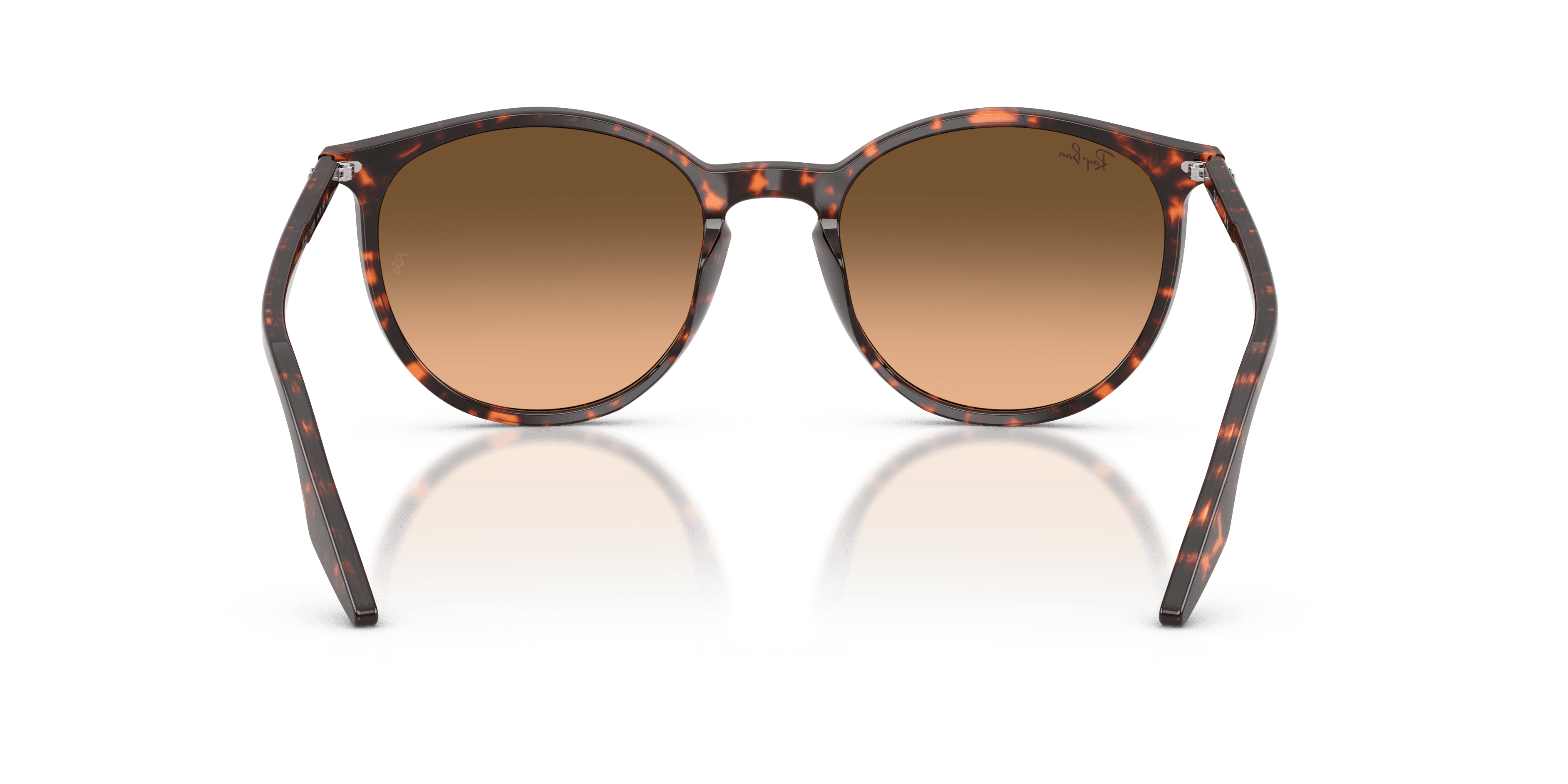 Ray-Ban 0RB2204 Güneş Gözlüğü 3