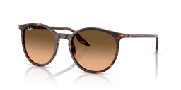 Ray-Ban 0RB2204 Güneş Gözlüğü