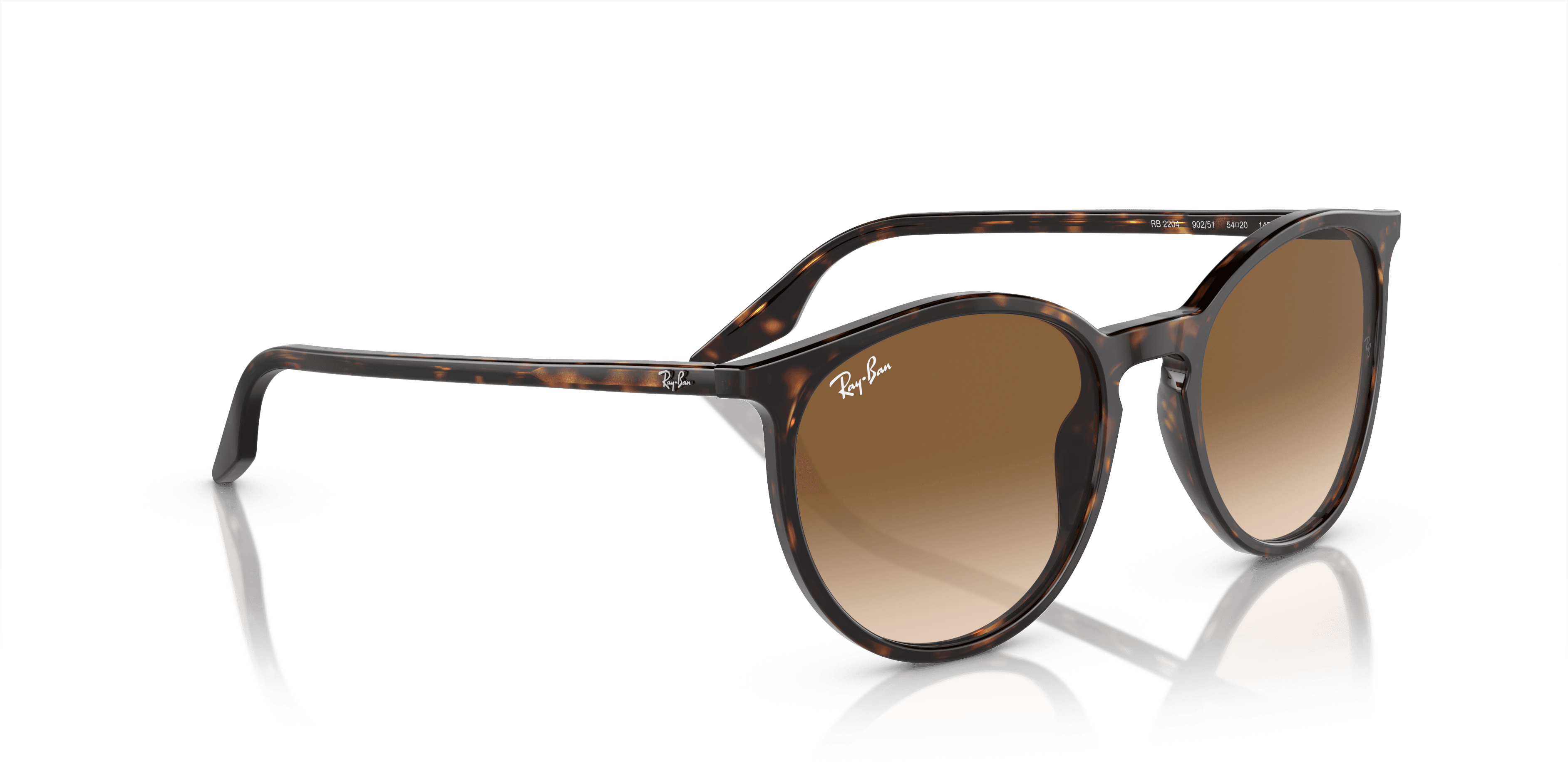 Ray-Ban 0RB2204 Güneş Gözlüğü 4