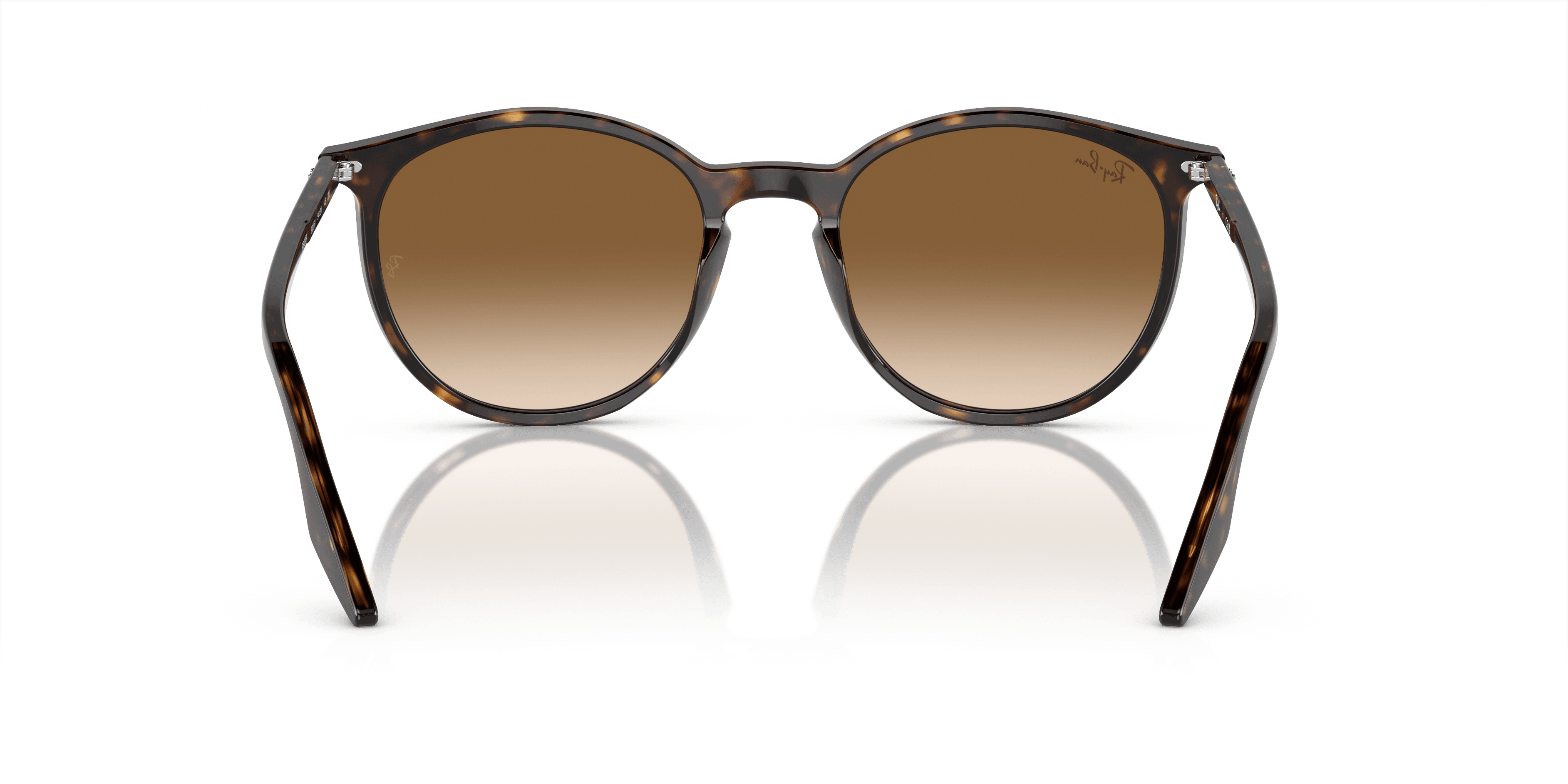 Ray-Ban 0RB2204 Güneş Gözlüğü 3