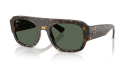 Ray-Ban 0RB2218 Güneş Gözlüğü