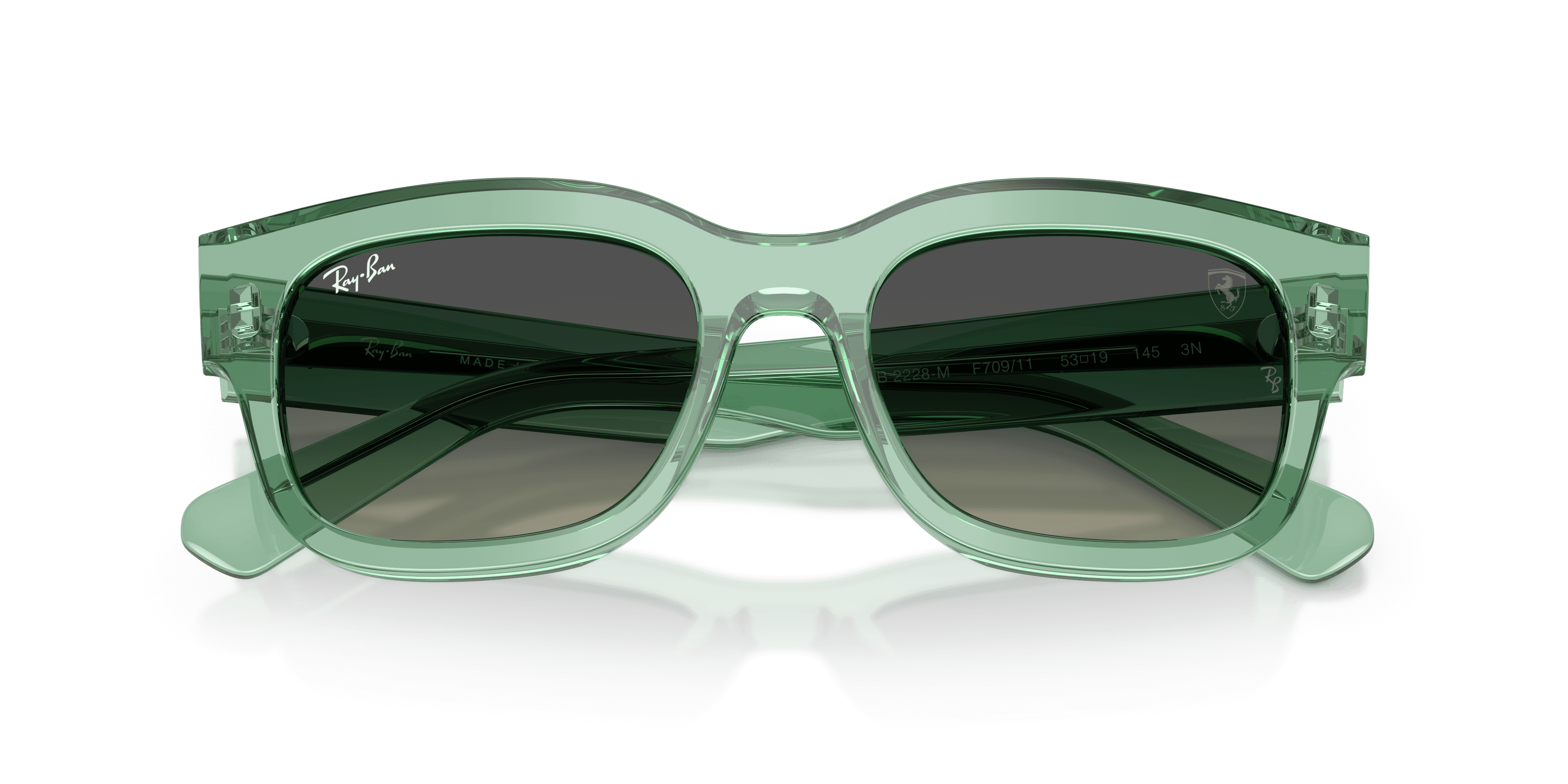 Ray-Ban 0RB2228M Güneş Gözlüğü 6