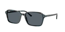 Ray-Ban 0RB2231 Güneş Gözlüğü