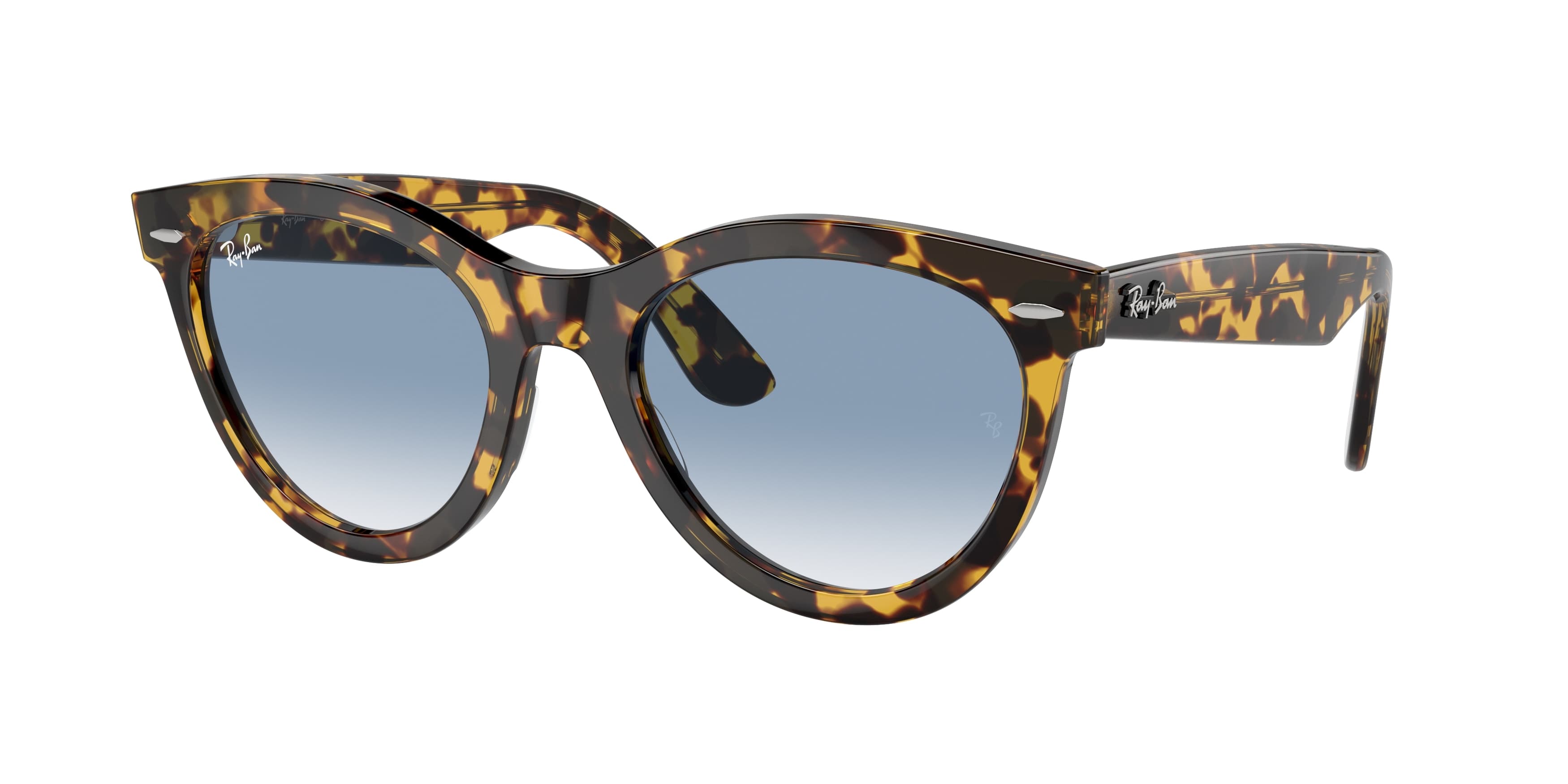 Ray-Ban 0RB2241 Güneş Gözlüğü