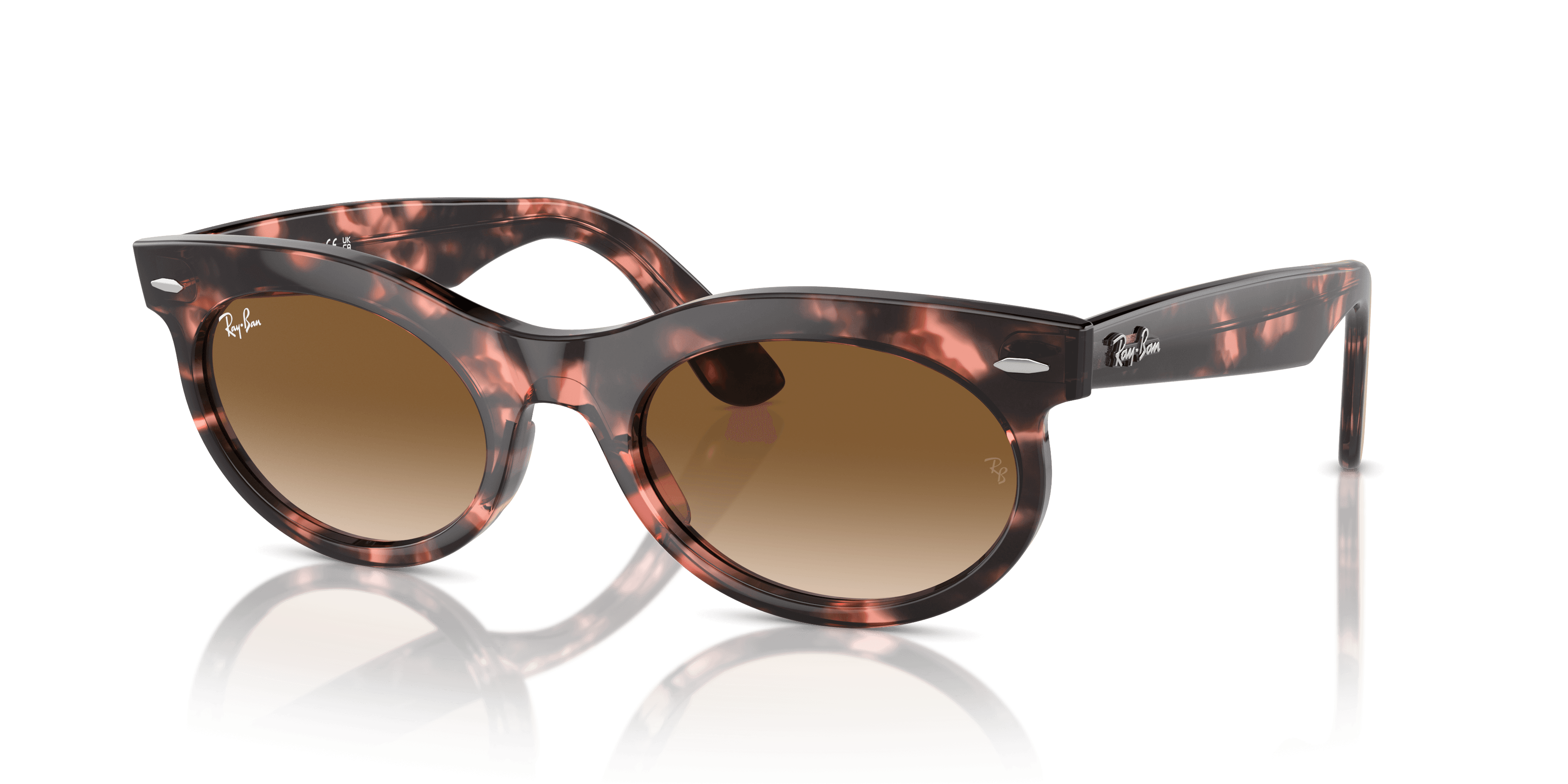 Ray-Ban 0RB2242 Güneş Gözlüğü