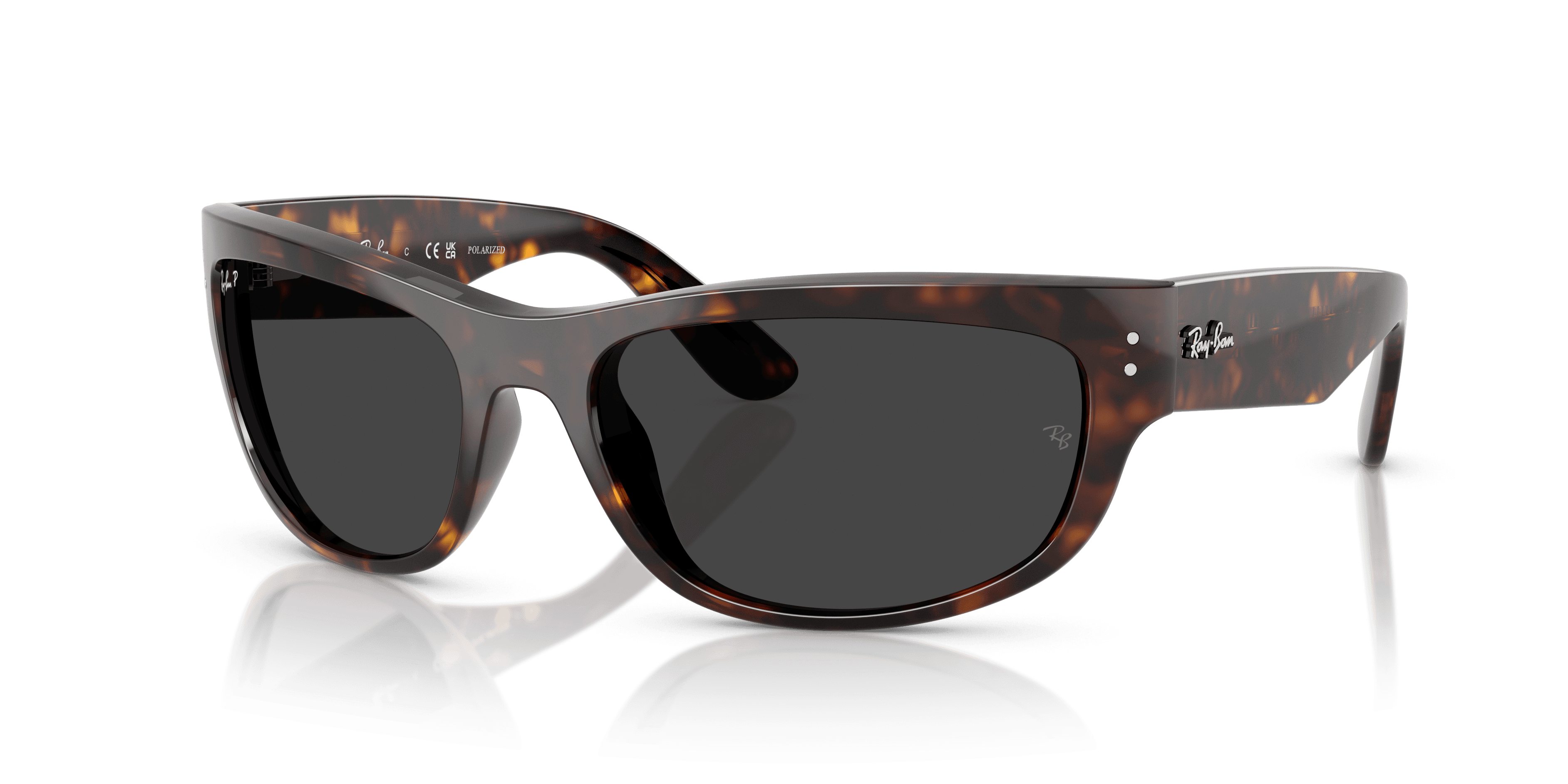 Ray-Ban 0RB2289 Güneş Gözlüğü