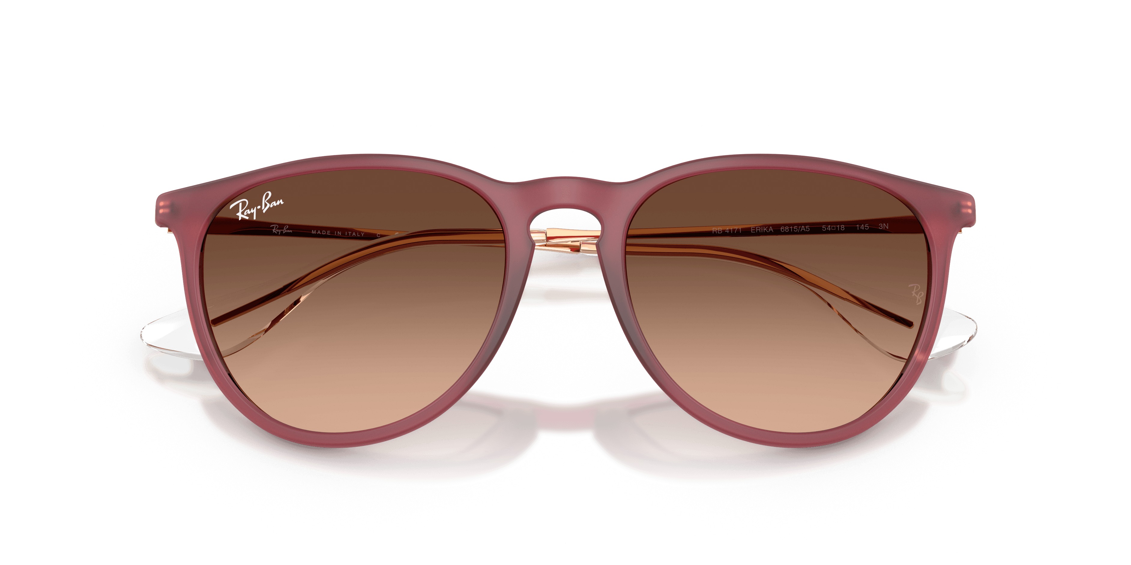 Ray-Ban 0RB4171 Güneş Gözlüğü 6