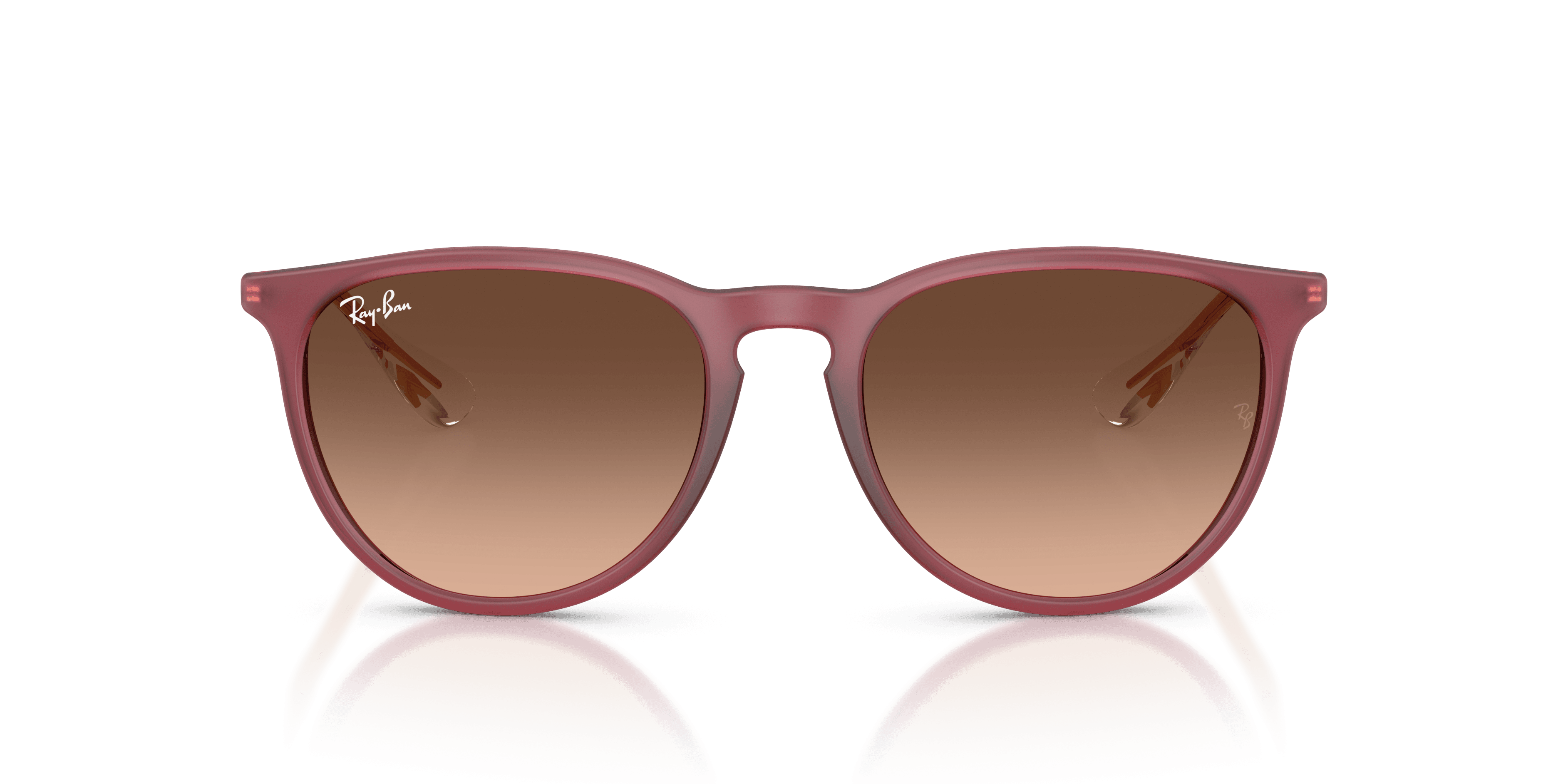 Ray-Ban 0RB4171 Güneş Gözlüğü 5