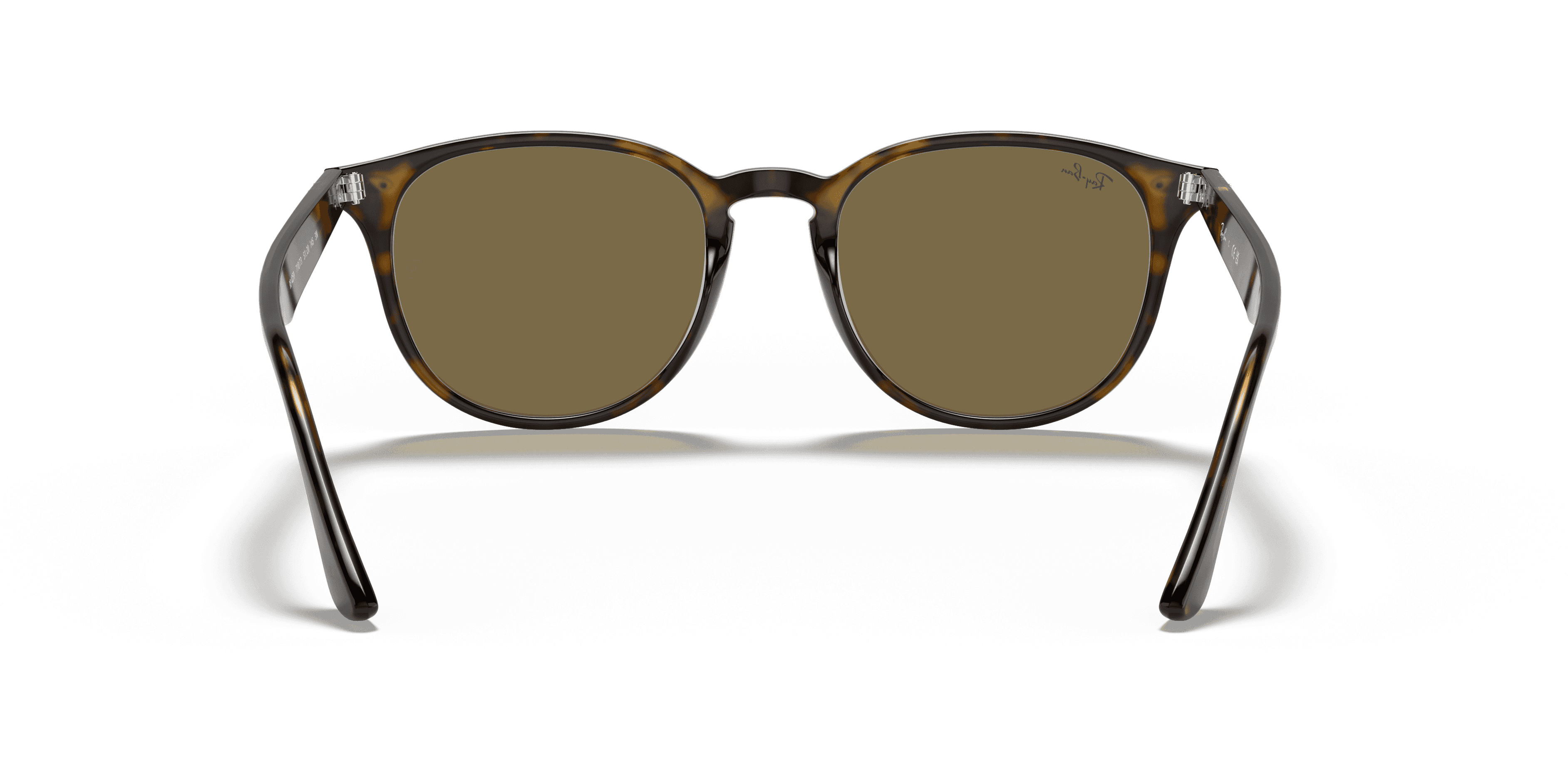 Ray-Ban 0RB4259 Güneş Gözlüğü 3