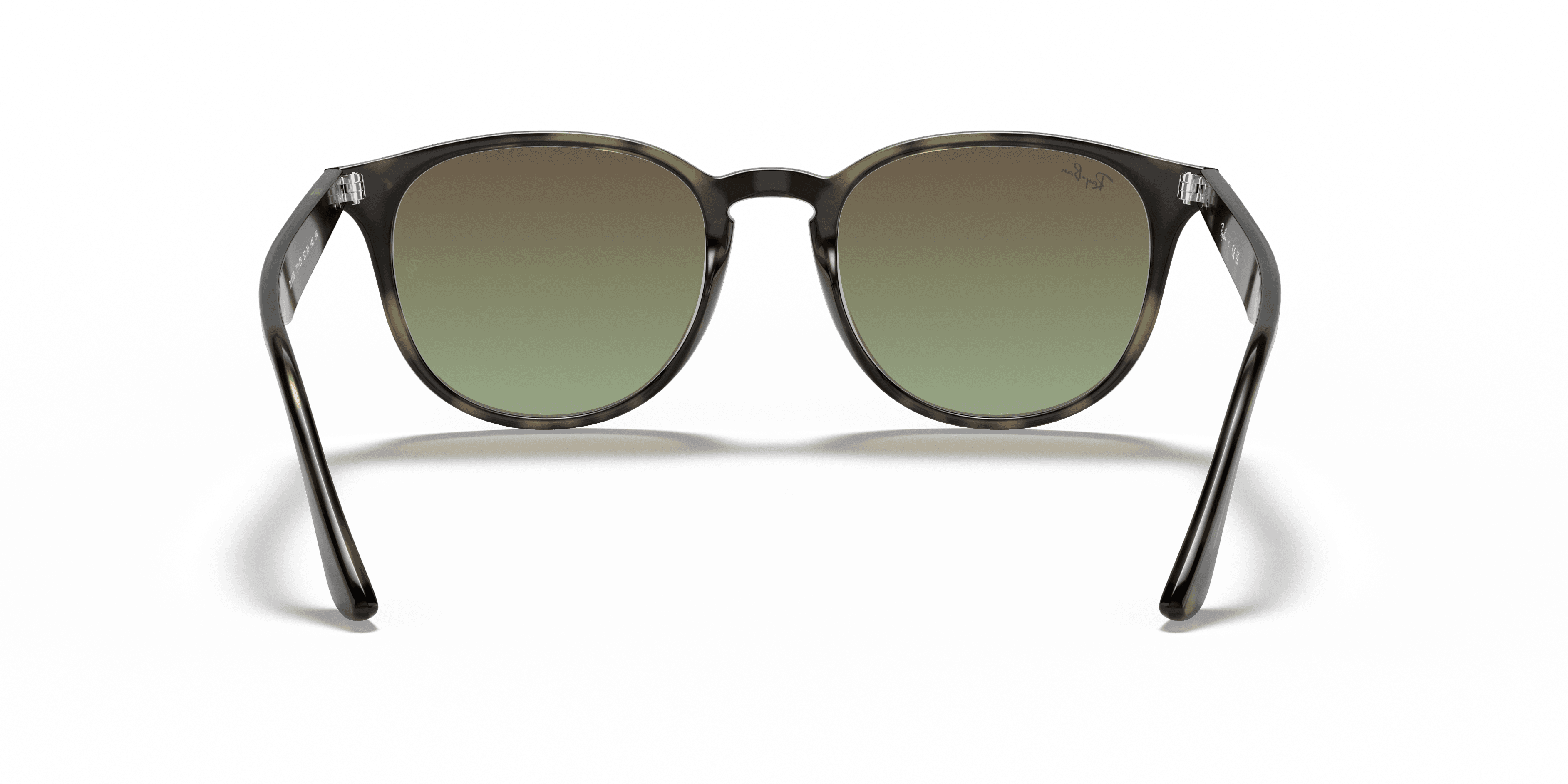 Ray-Ban 0RB4259 Güneş Gözlüğü 3